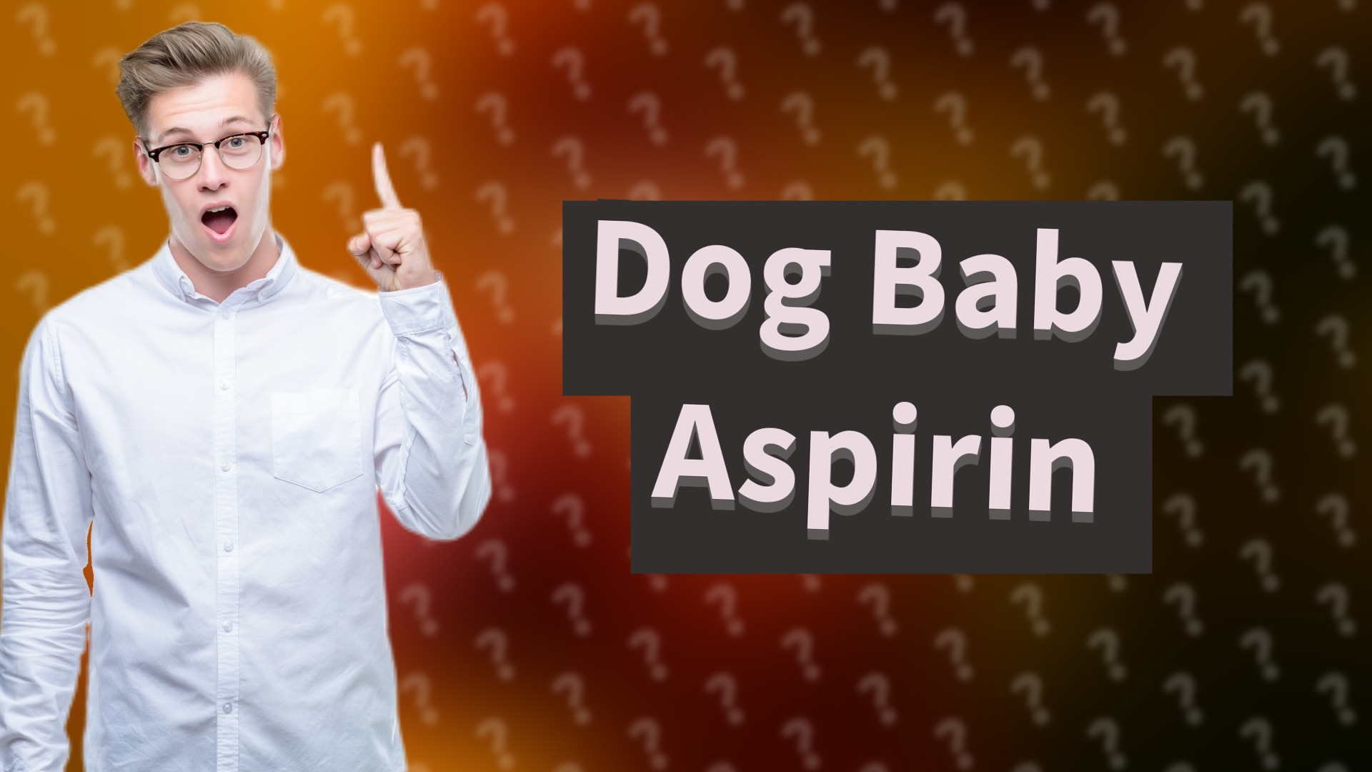 Dog Baby Aspirin