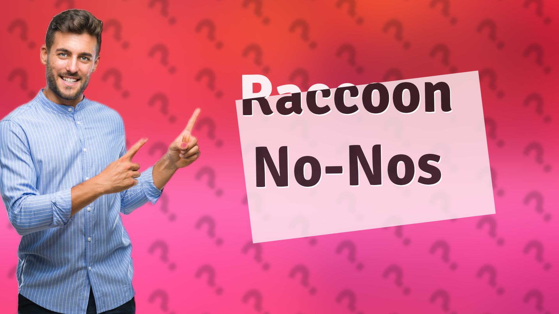 Raccoon No-Nos