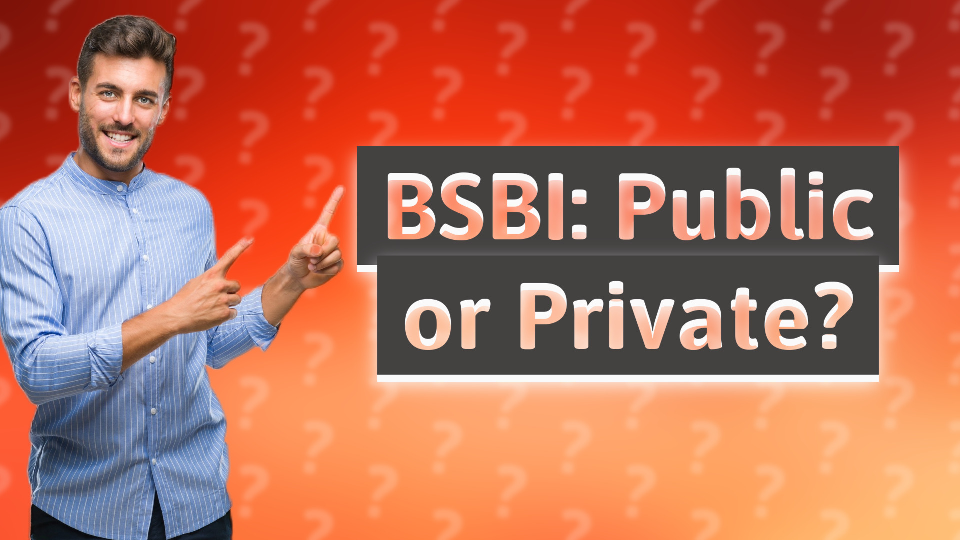 BSBI: Public or Private?