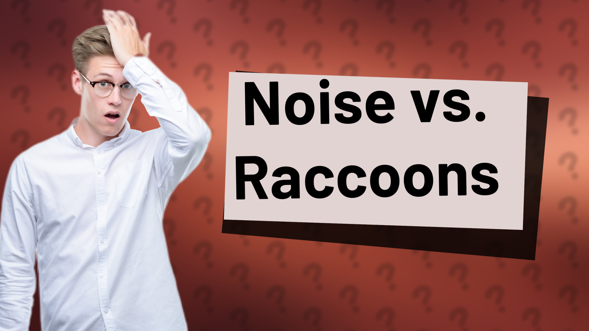 Noise vs. Raccoons