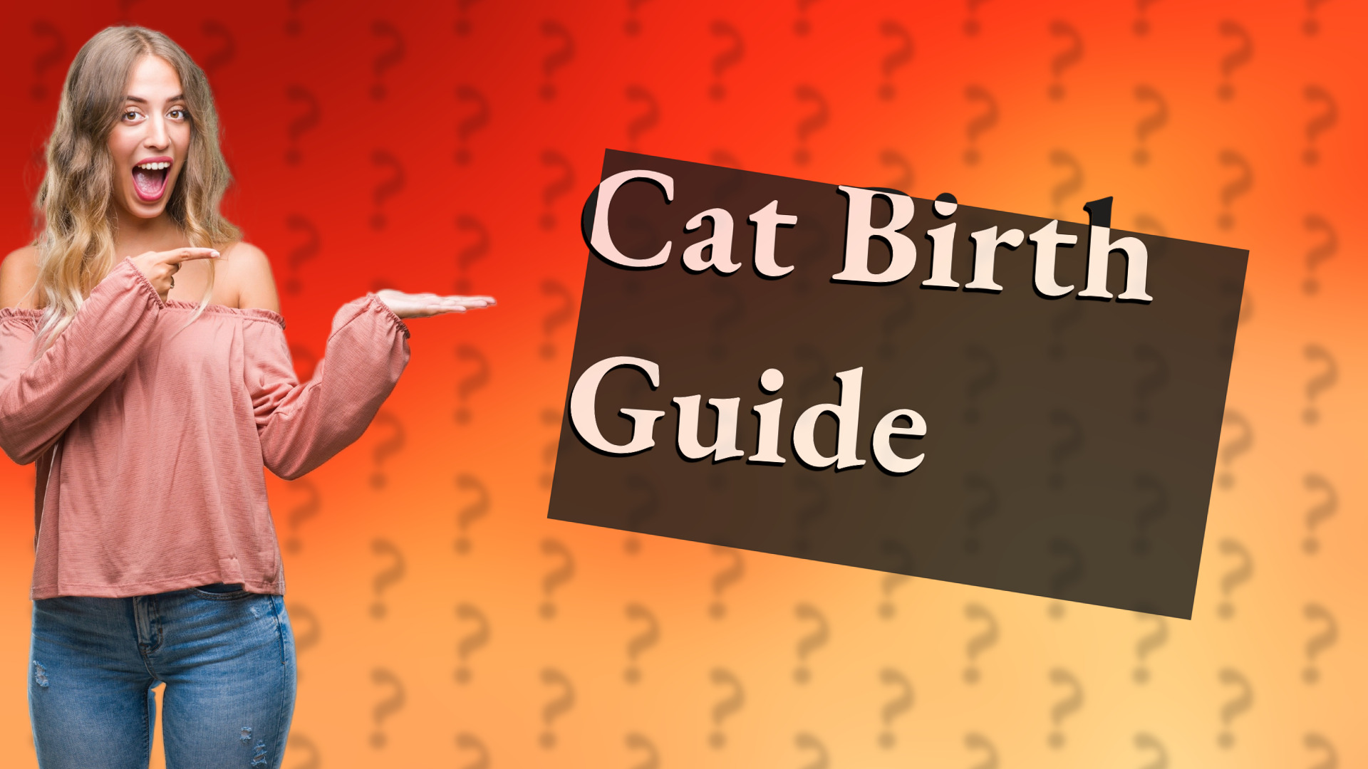 Cat Birth Guide