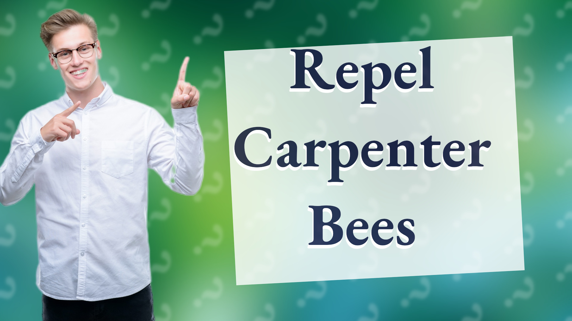 Repel Carpenter Bees
