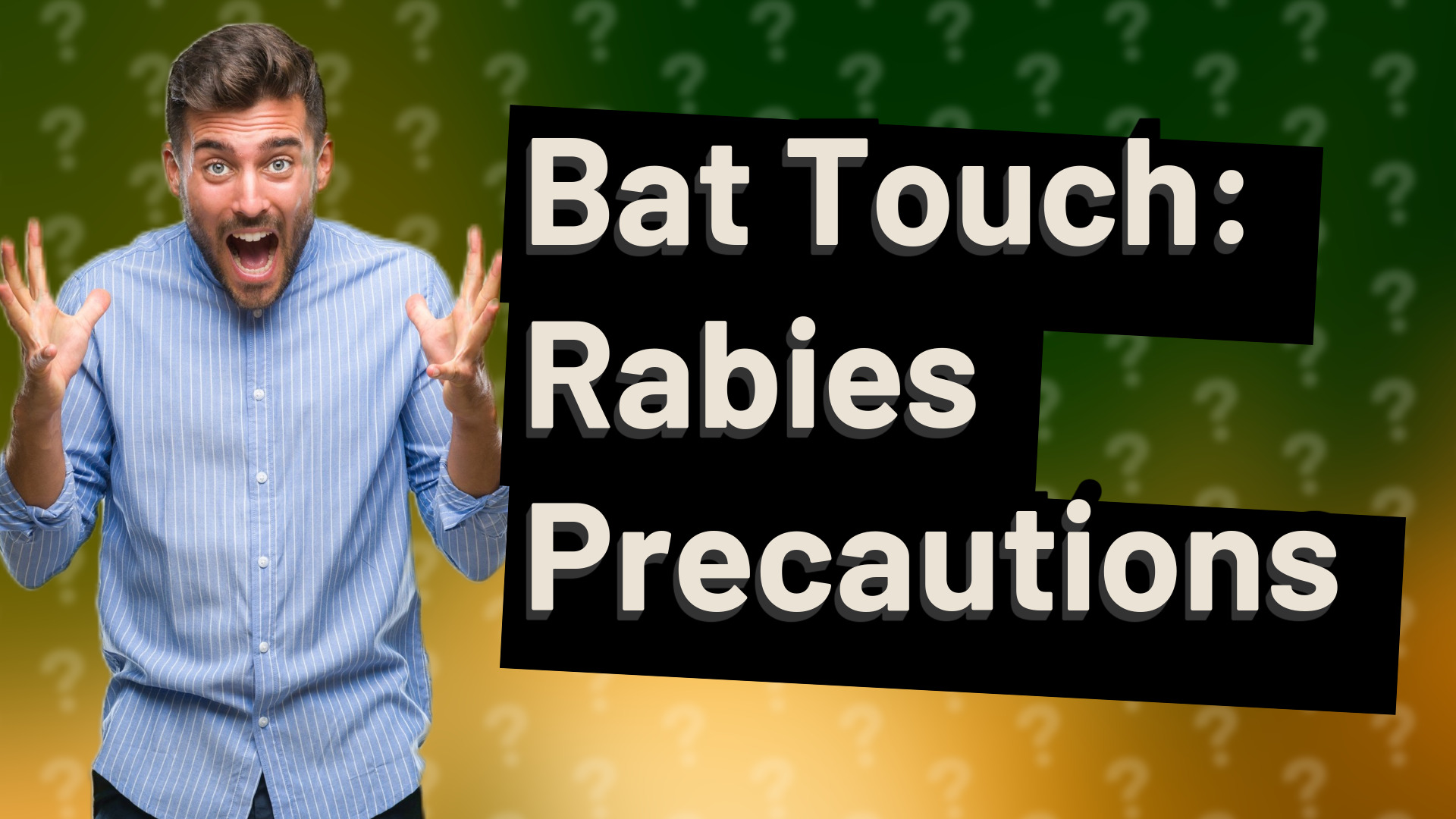 Bat Touch: Rabies Precautions
