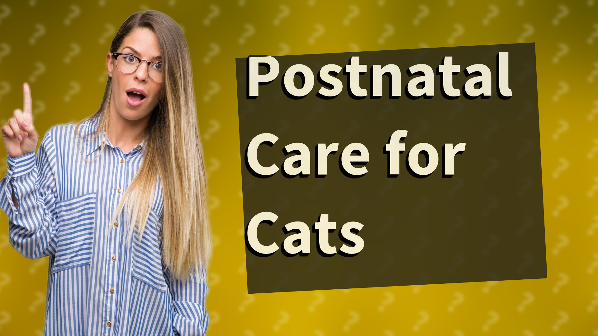 Postnatal Care for Cats