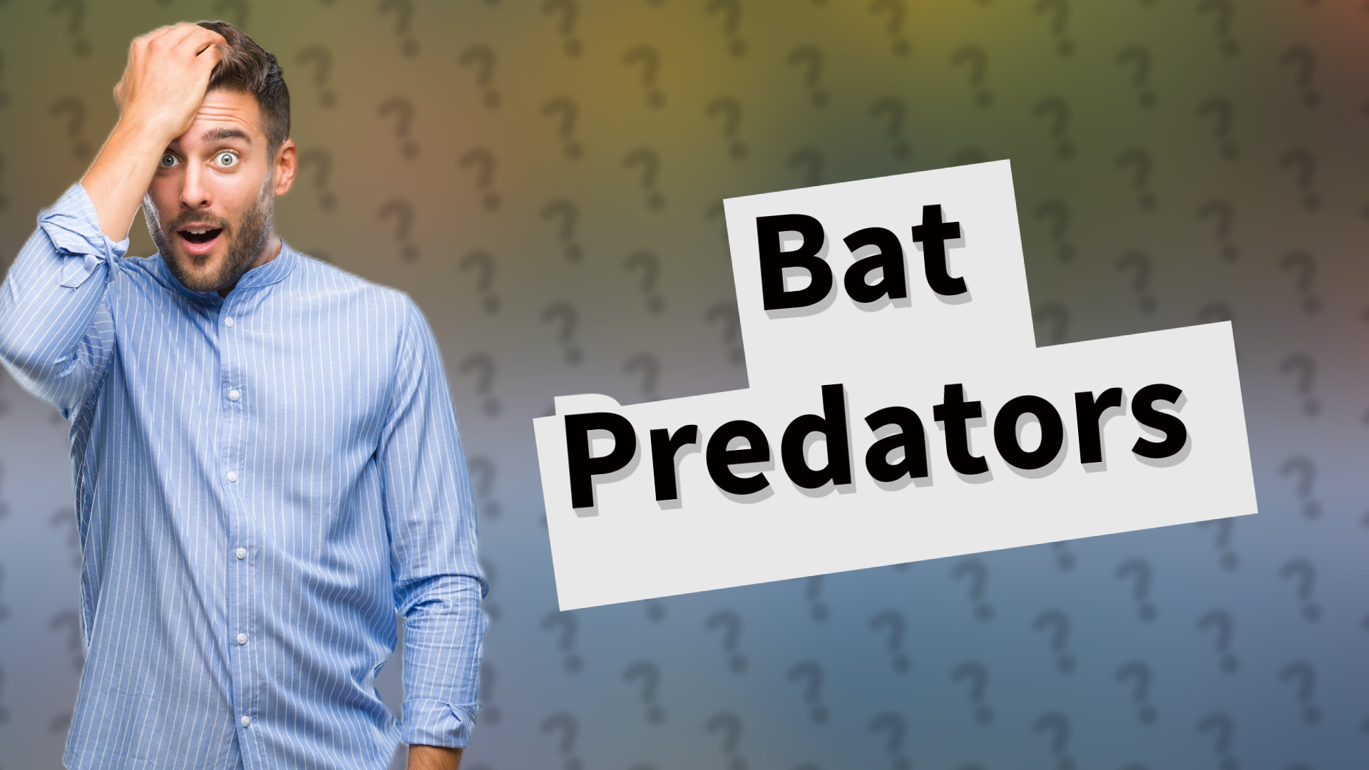 Bat Predators