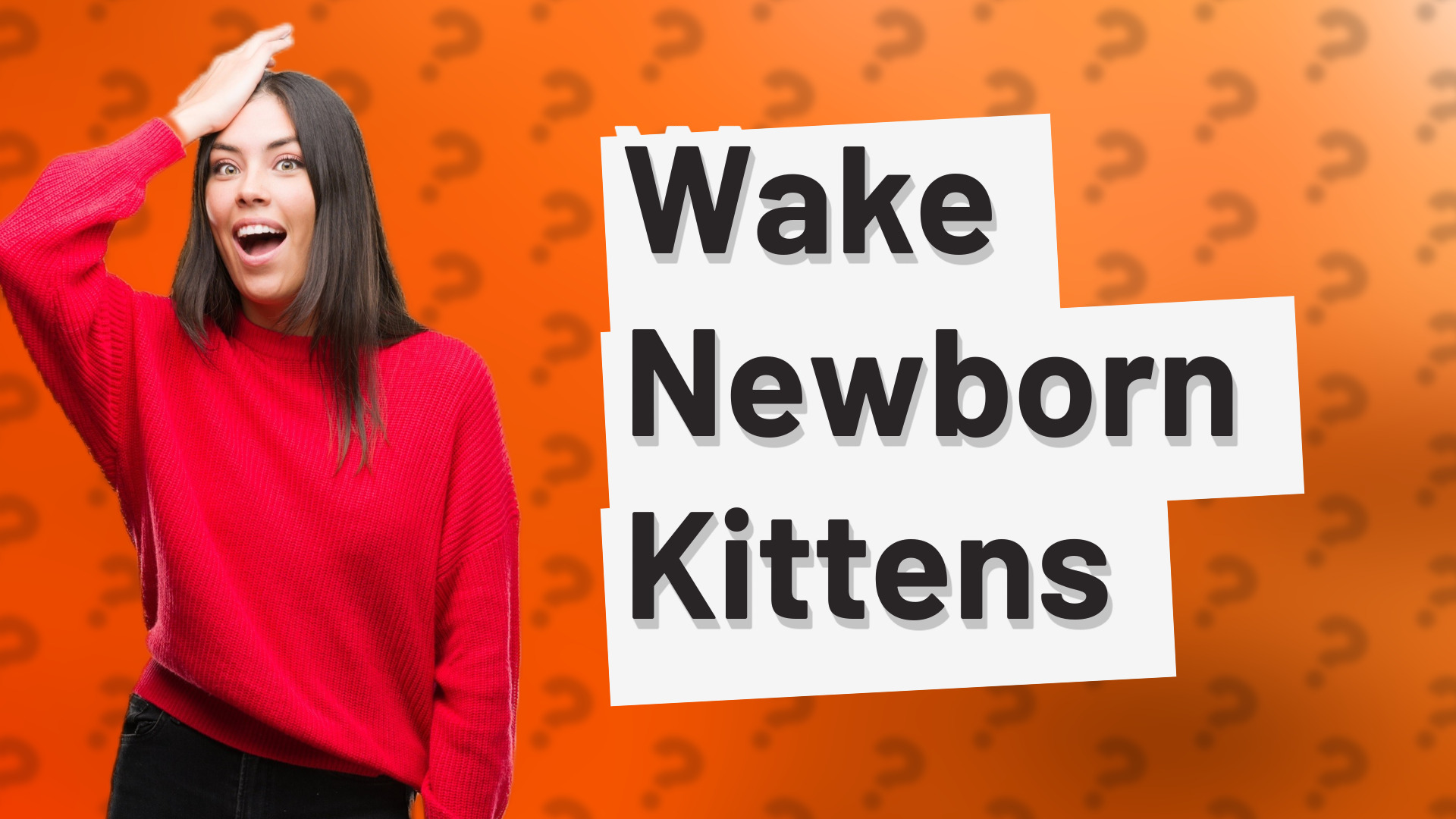 Wake Newborn Kittens