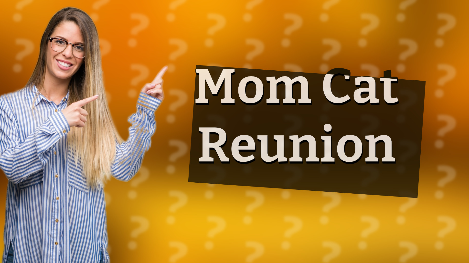 Mom Cat Reunion