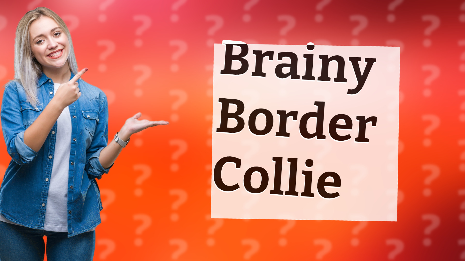 Brainy Border Collie