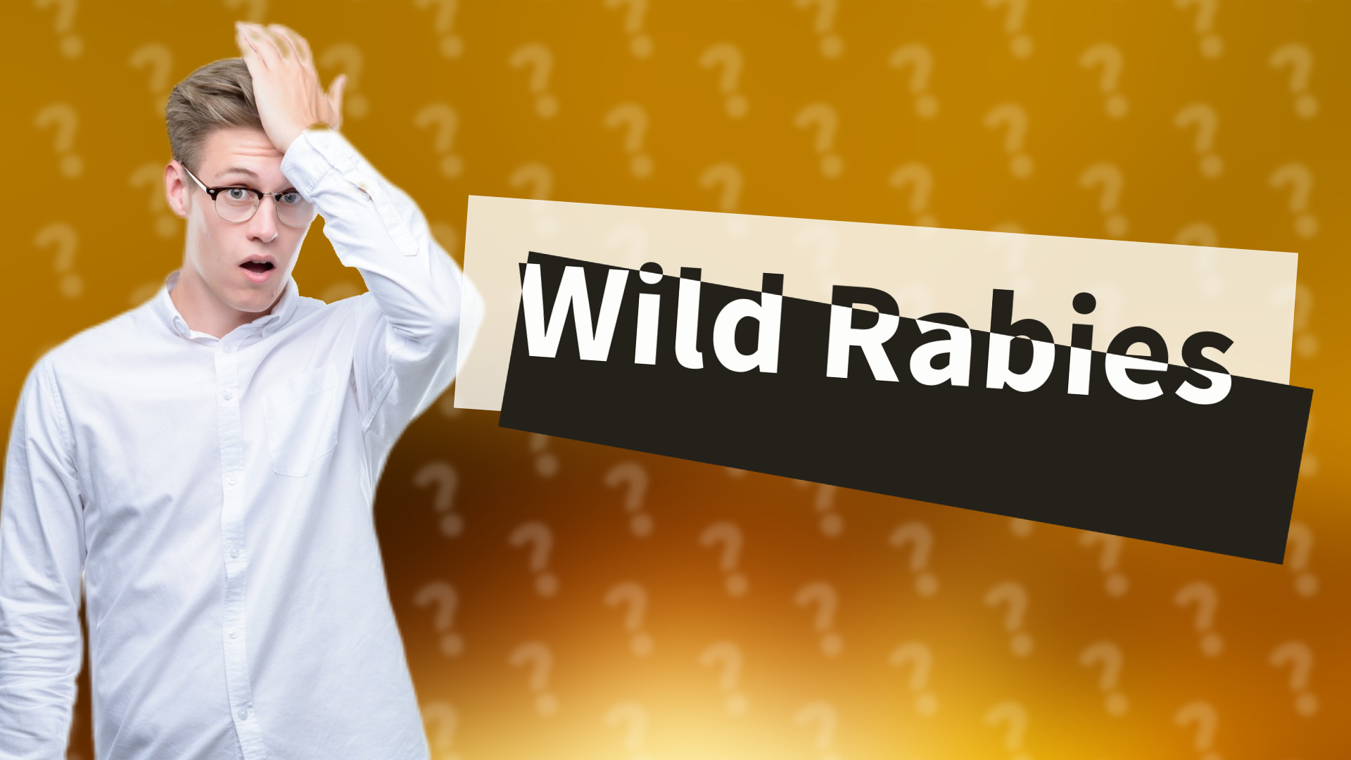 Wild Rabies