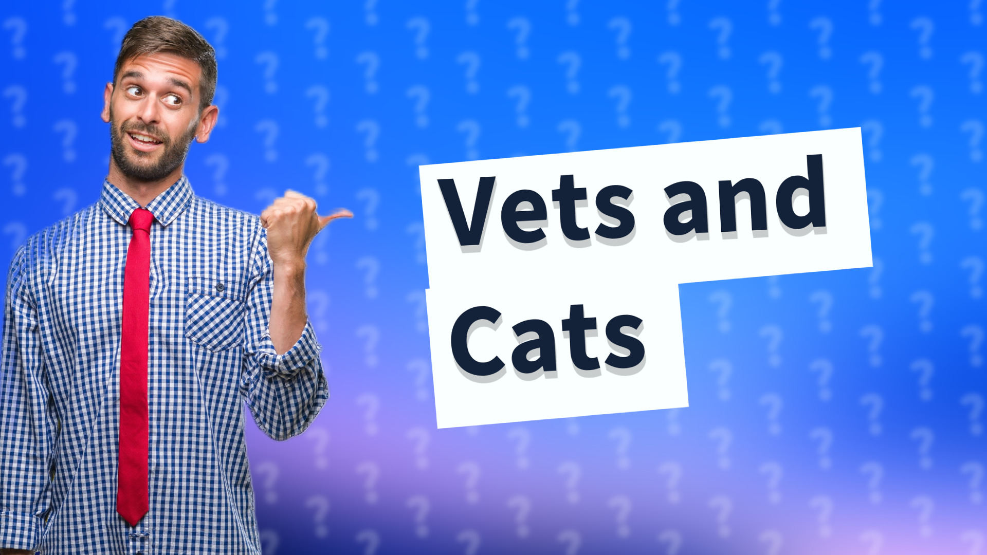 Vets and Cats