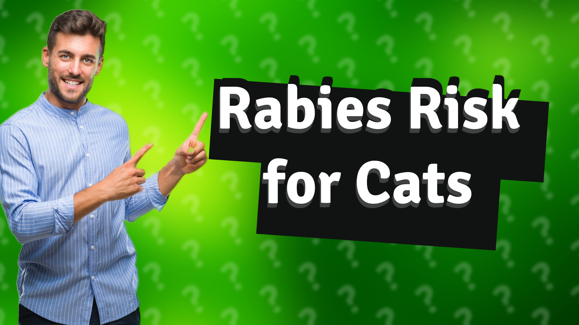 Rabies Risk for Cats