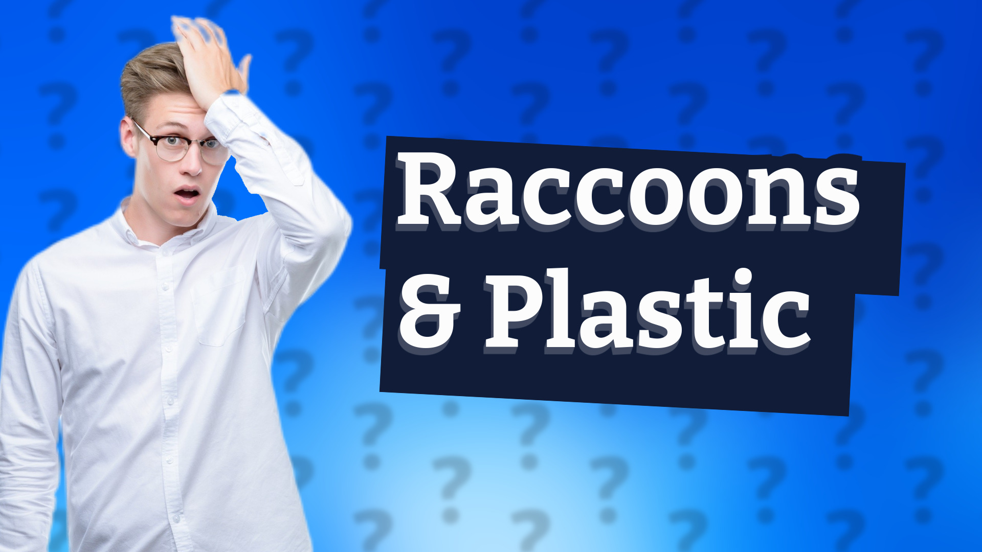 Raccoons & Plastic