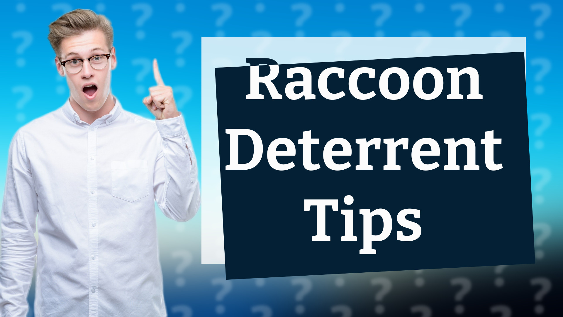 Raccoon Deterrent Tips
