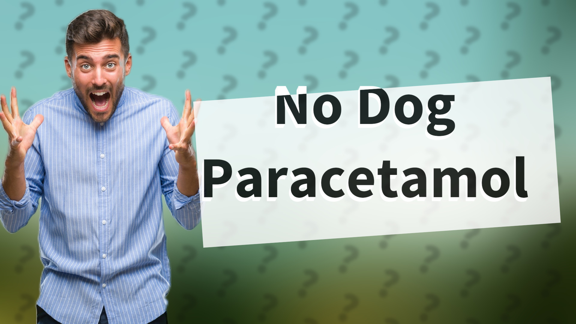 No Dog Paracetamol