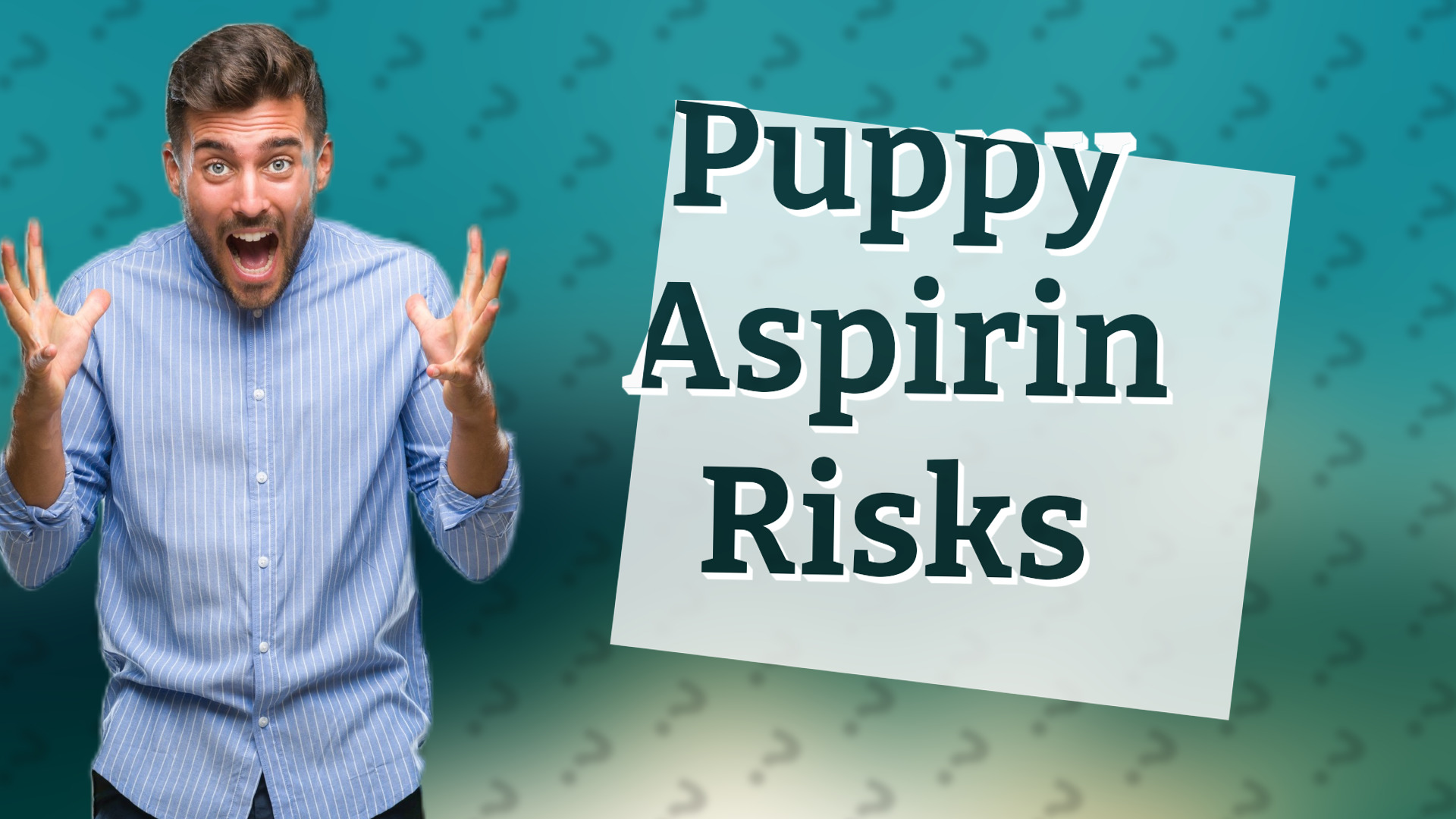 Puppy Aspirin Risks