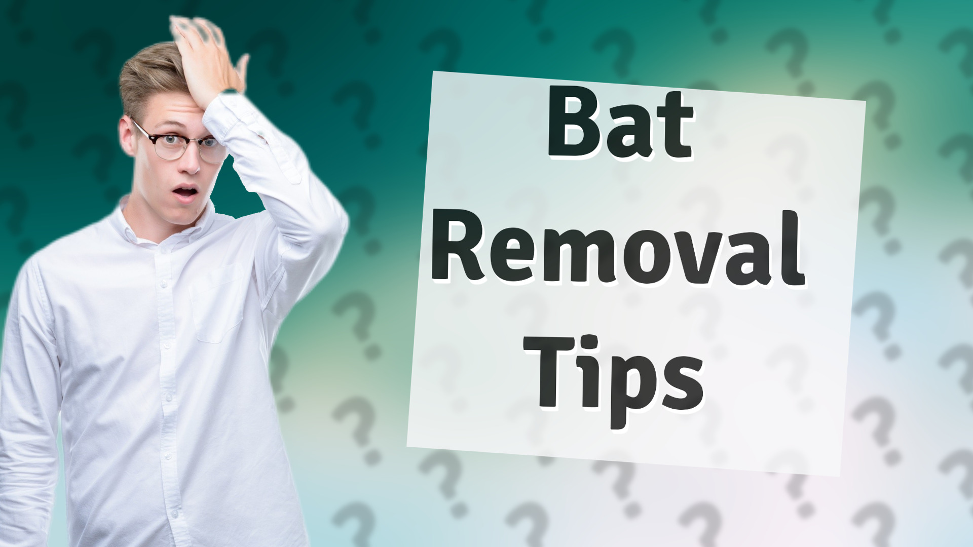 Bat Removal Tips