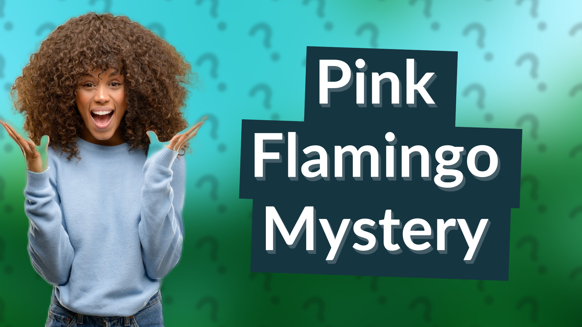 Pink Flamingo Mystery