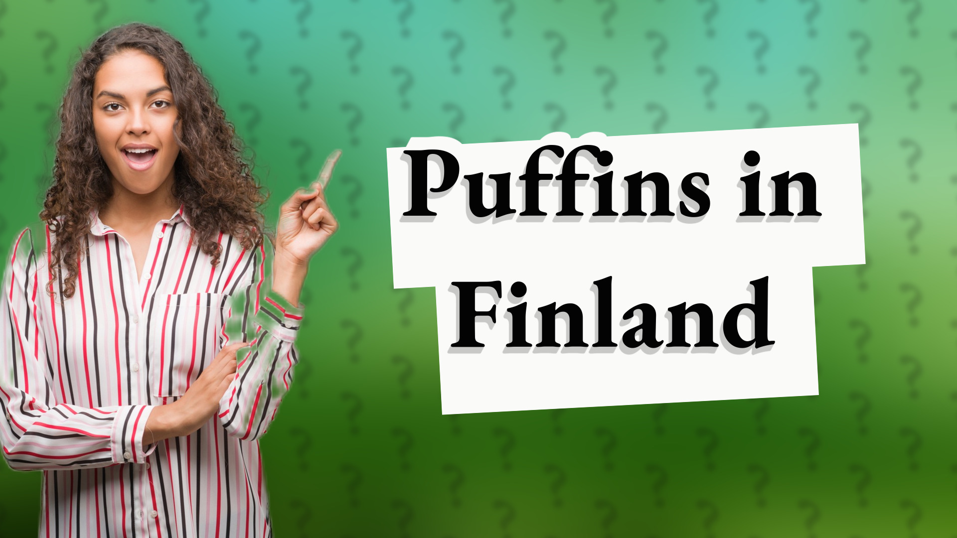 Puffins in Finland