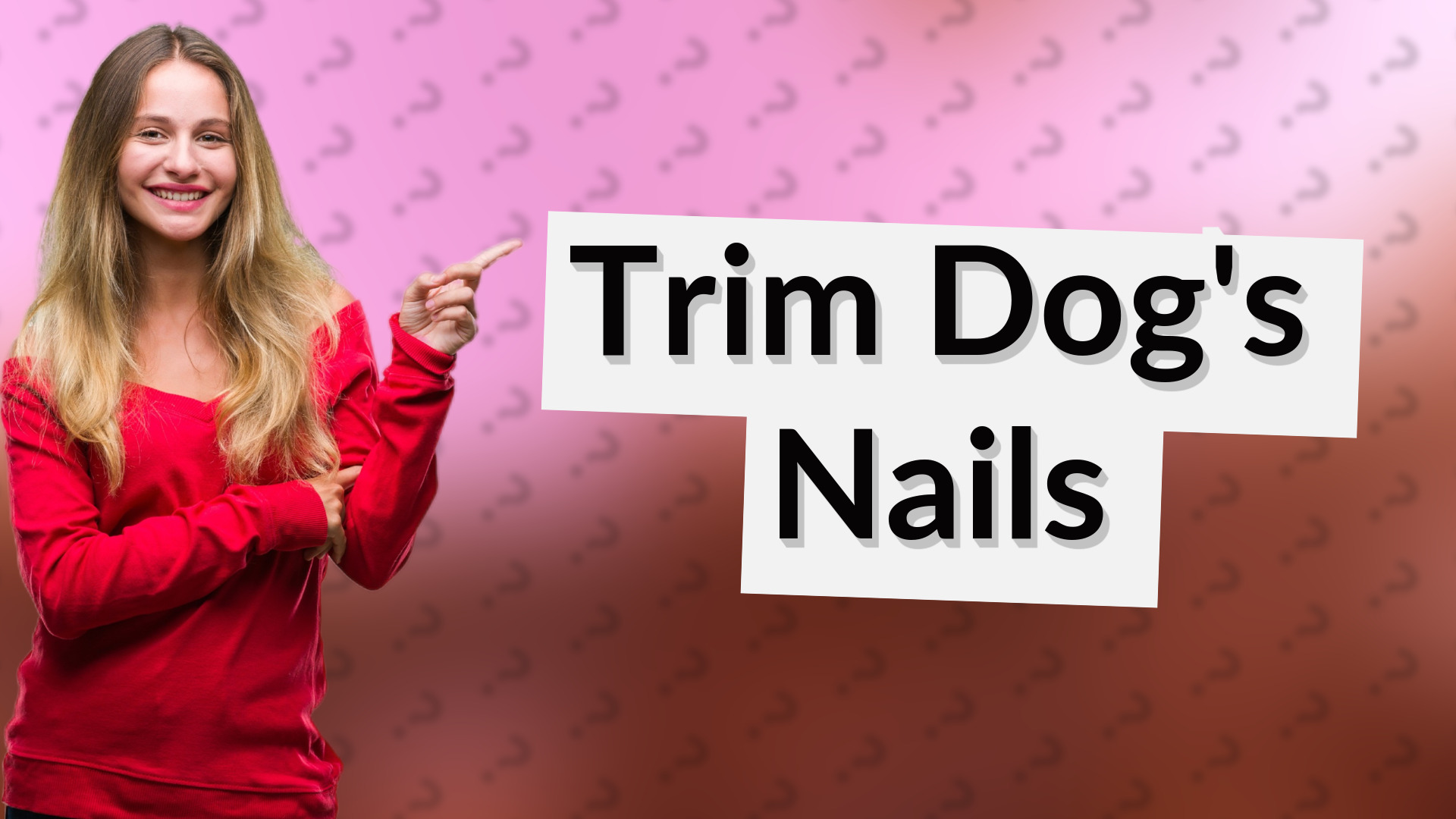 Trim Dog's Nails