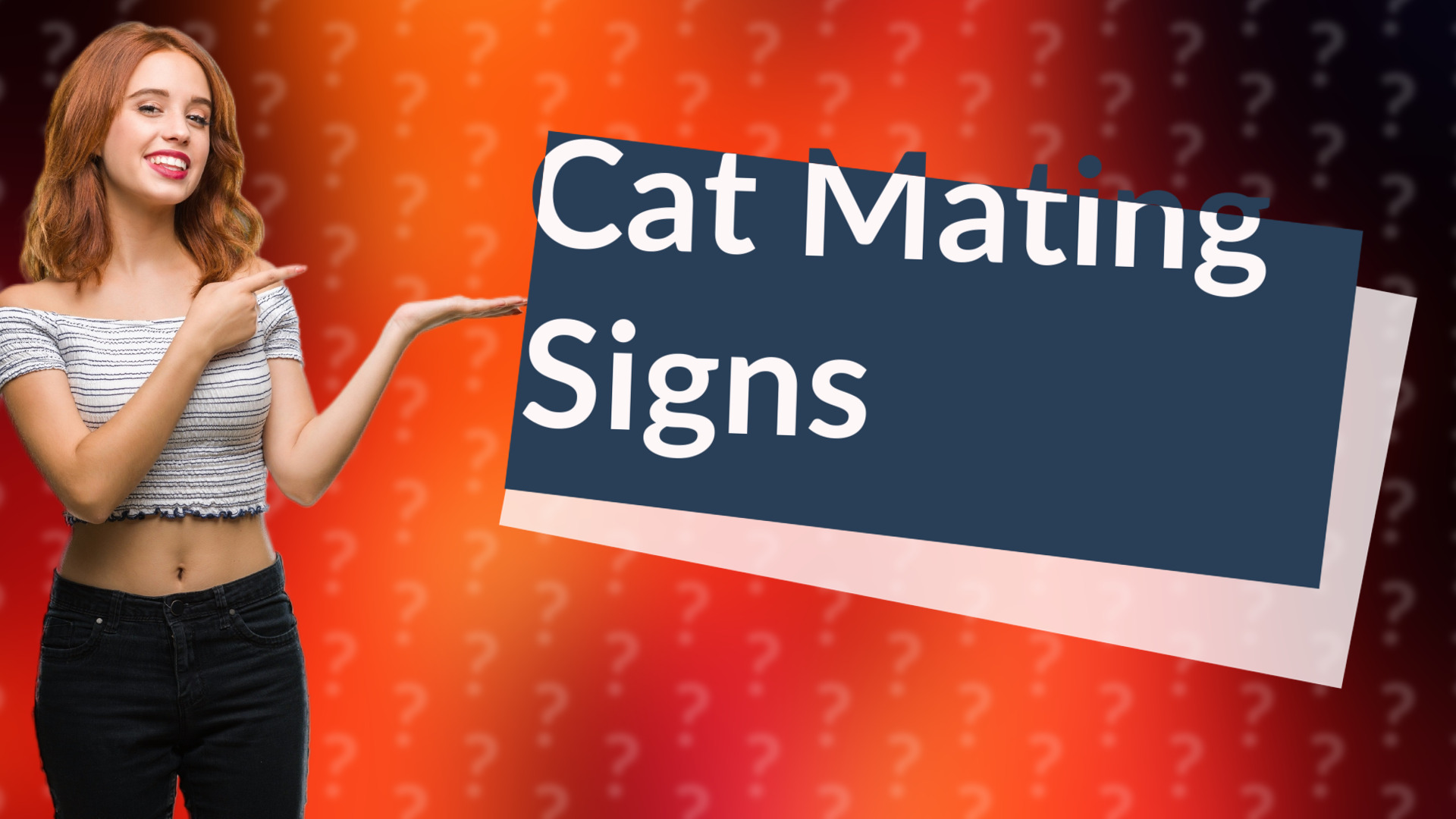 Cat Mating Signs