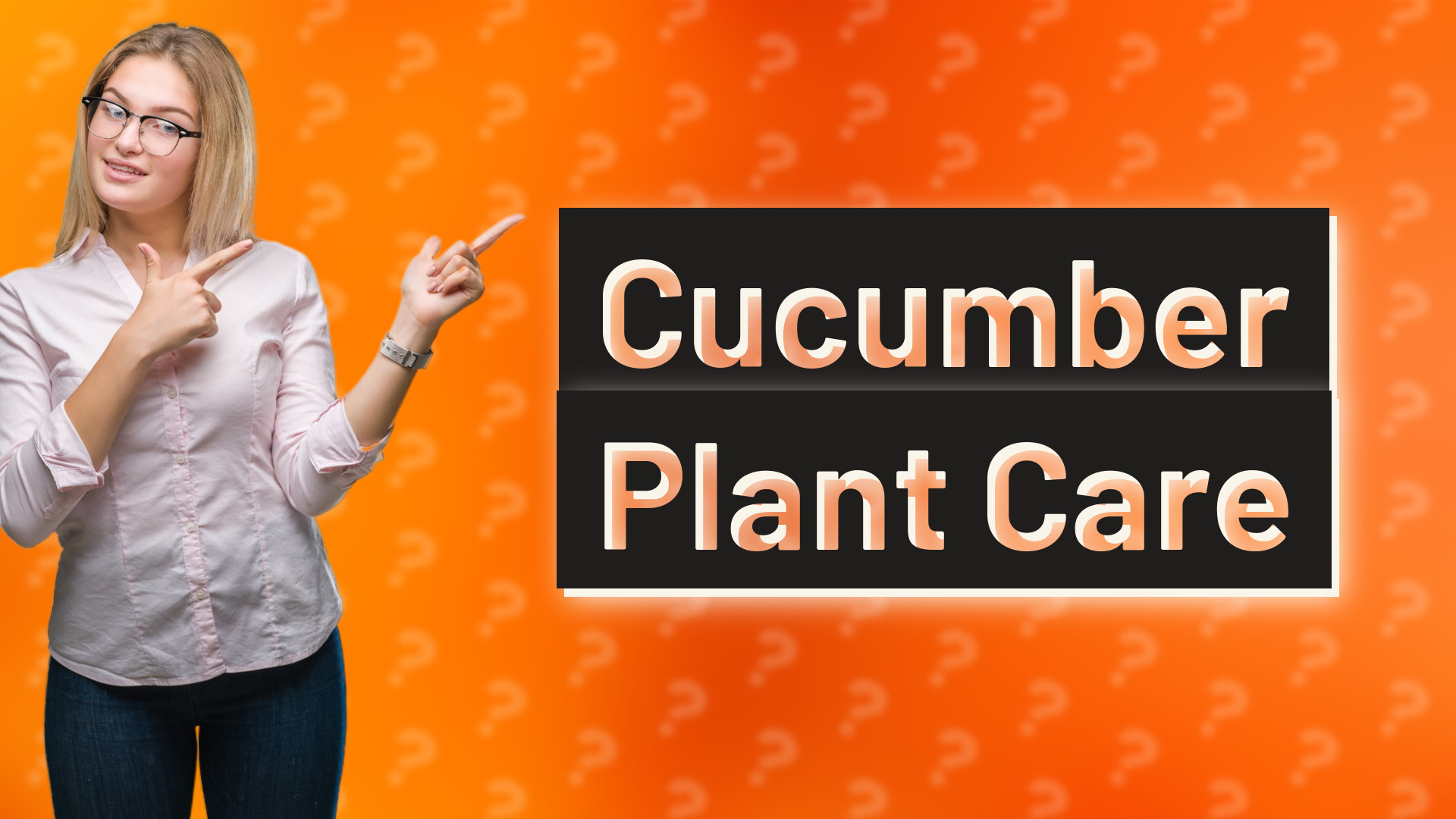 Cucumber Plant Care