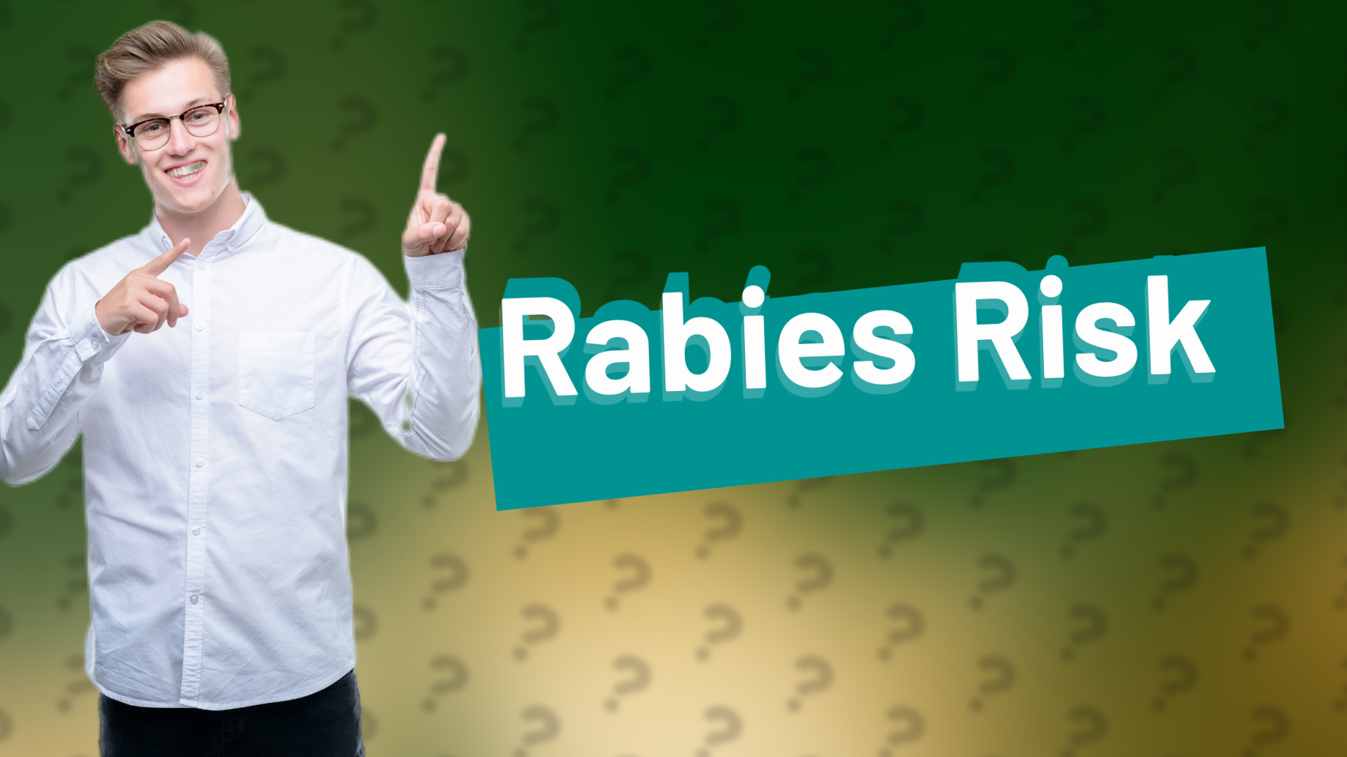 Rabies Risk
