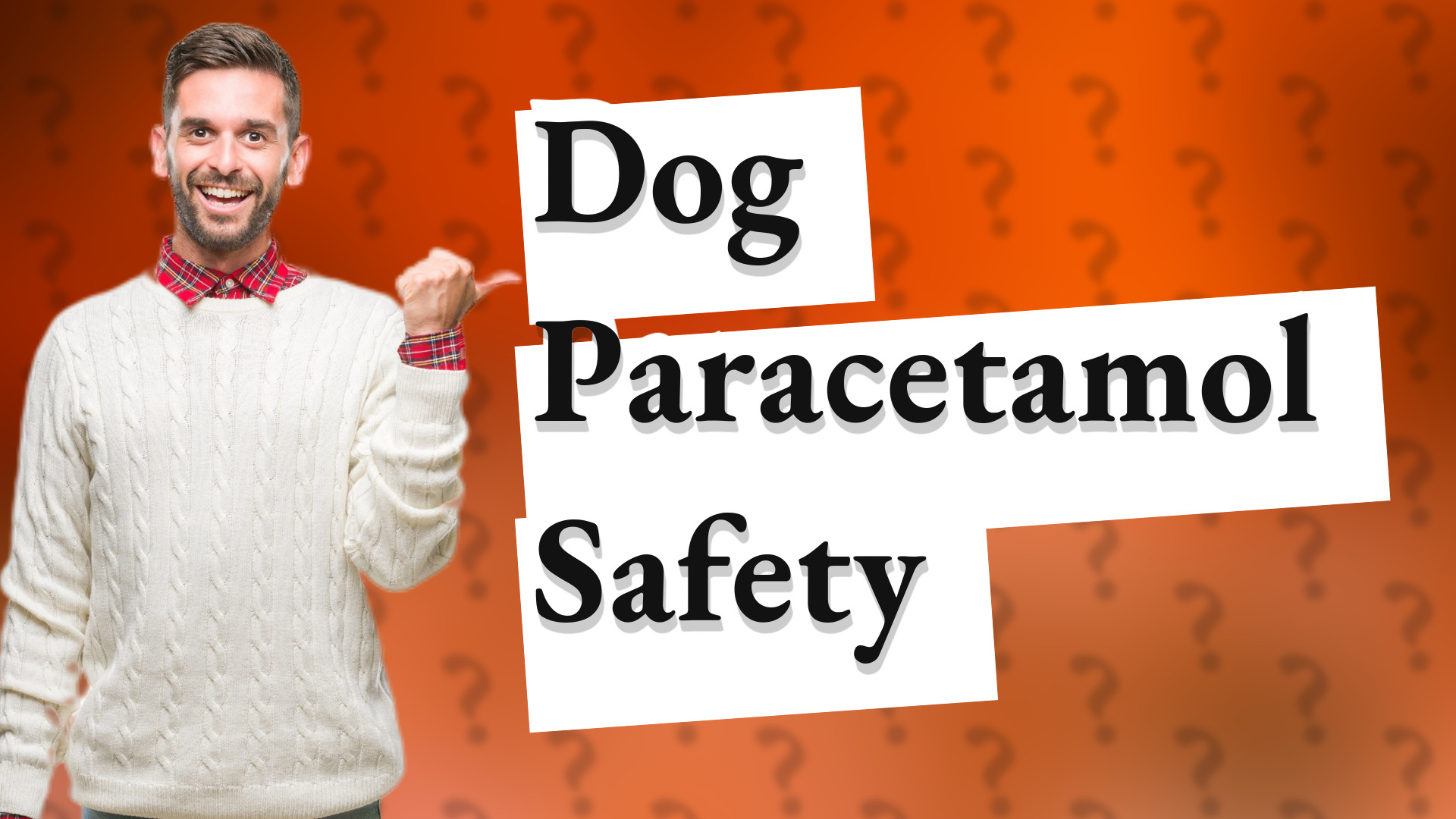 Dog Paracetamol Safety