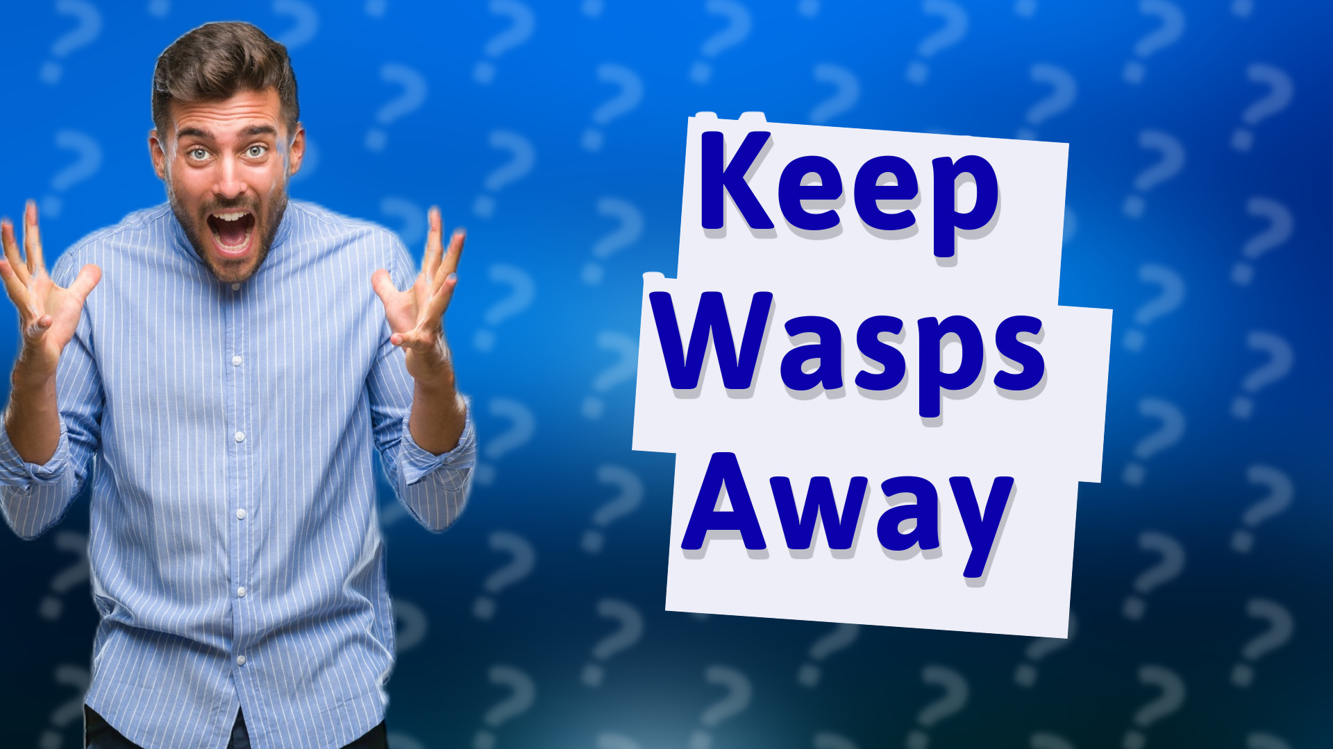 Keep Wasps Away
