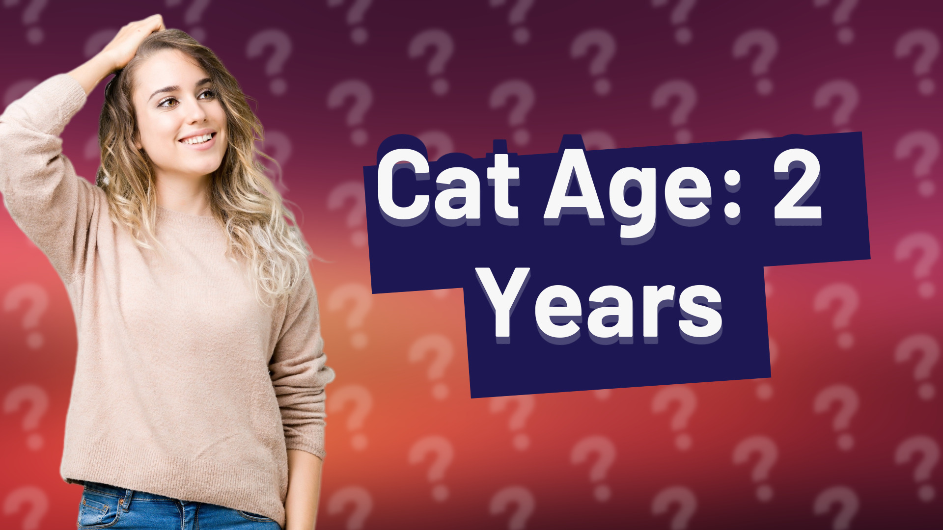 Cat Age: 2 Years