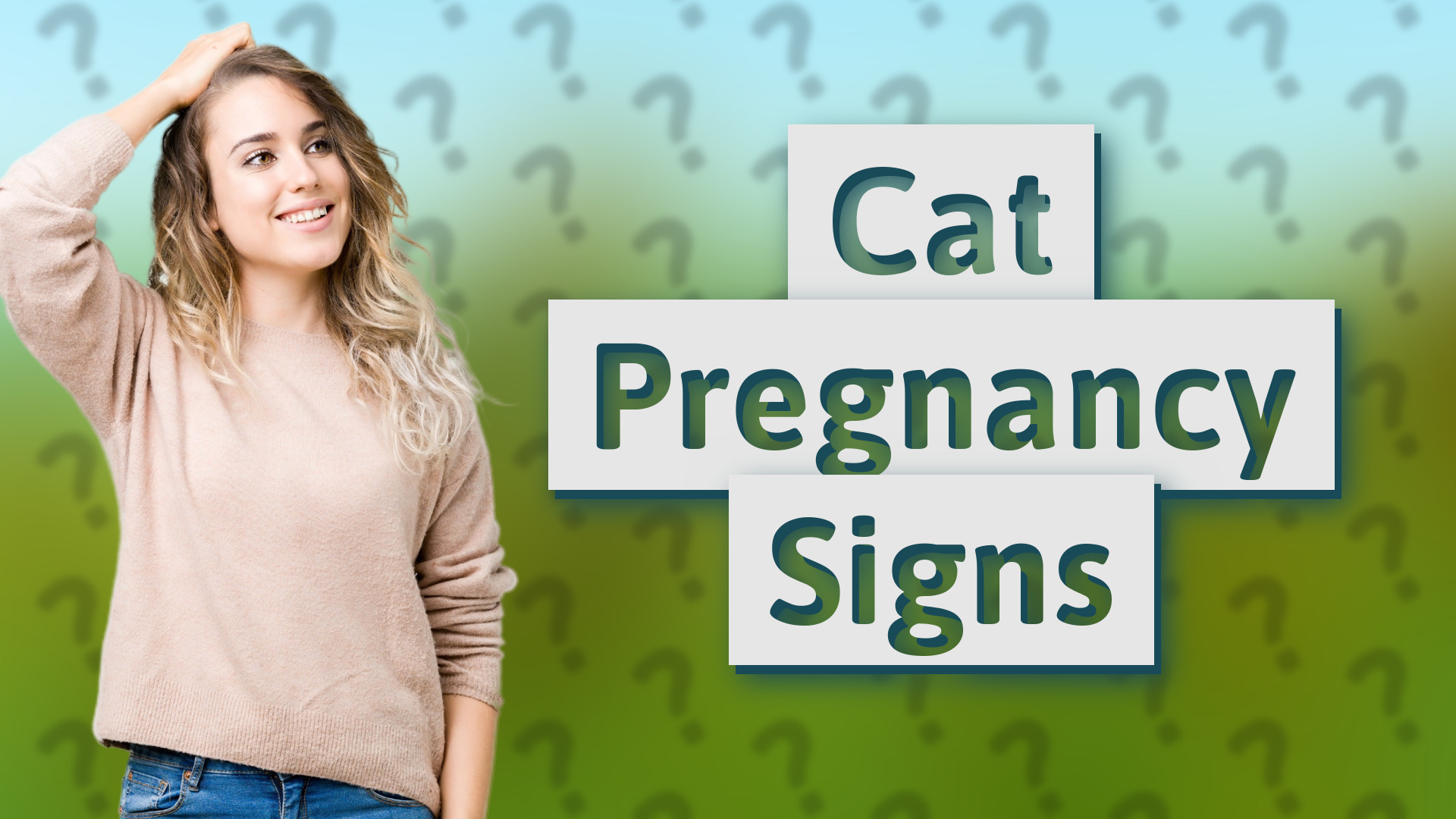 Cat Pregnancy Signs