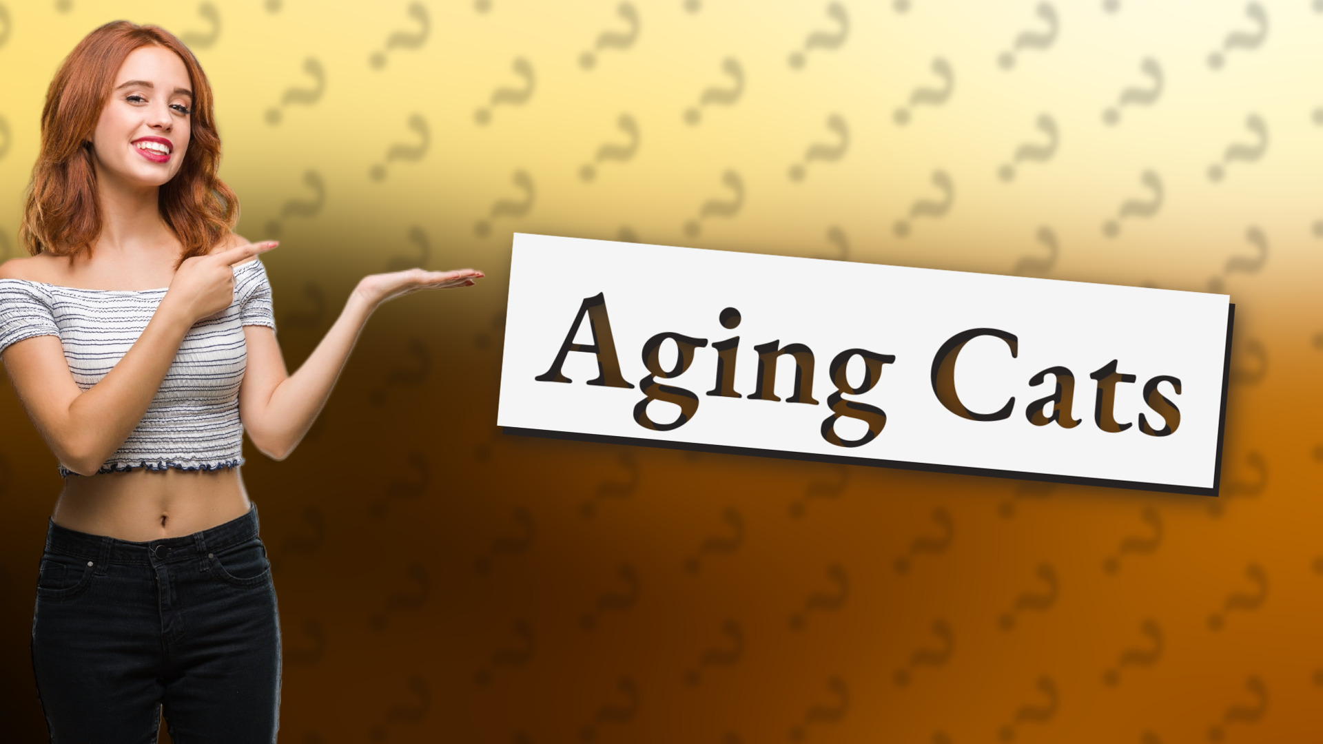 Aging Cats