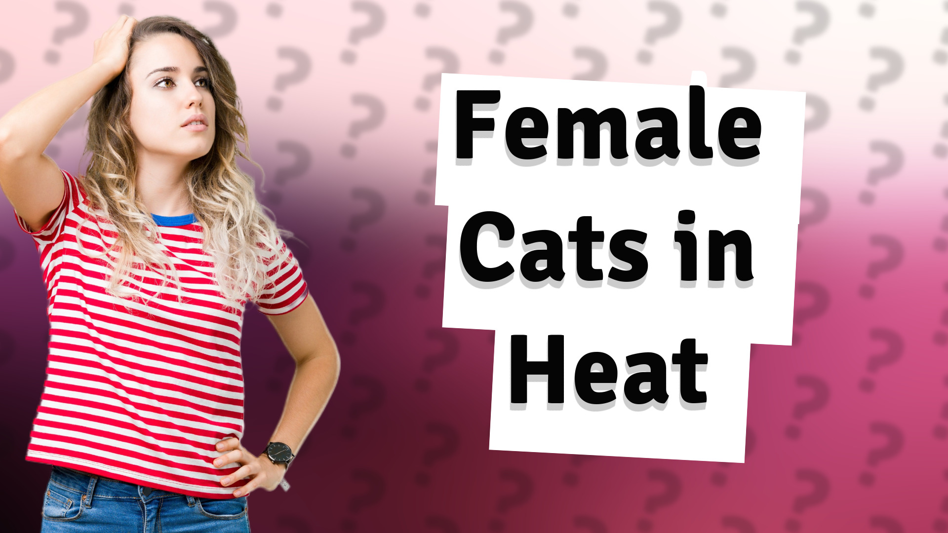 Female Cats in Heat