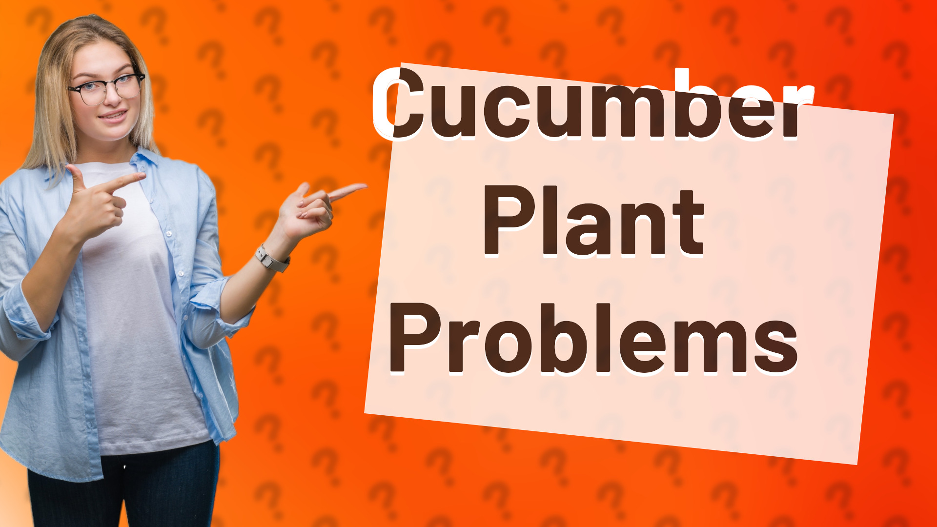 Cucumber Plant Problems