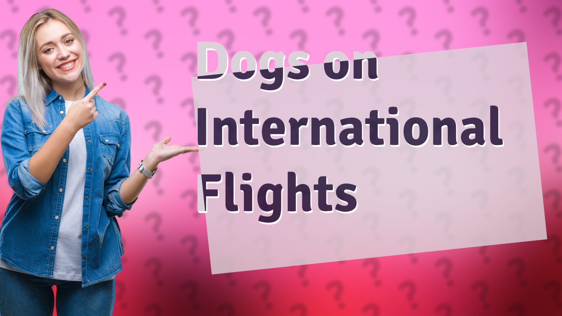 Dogs on International Flights