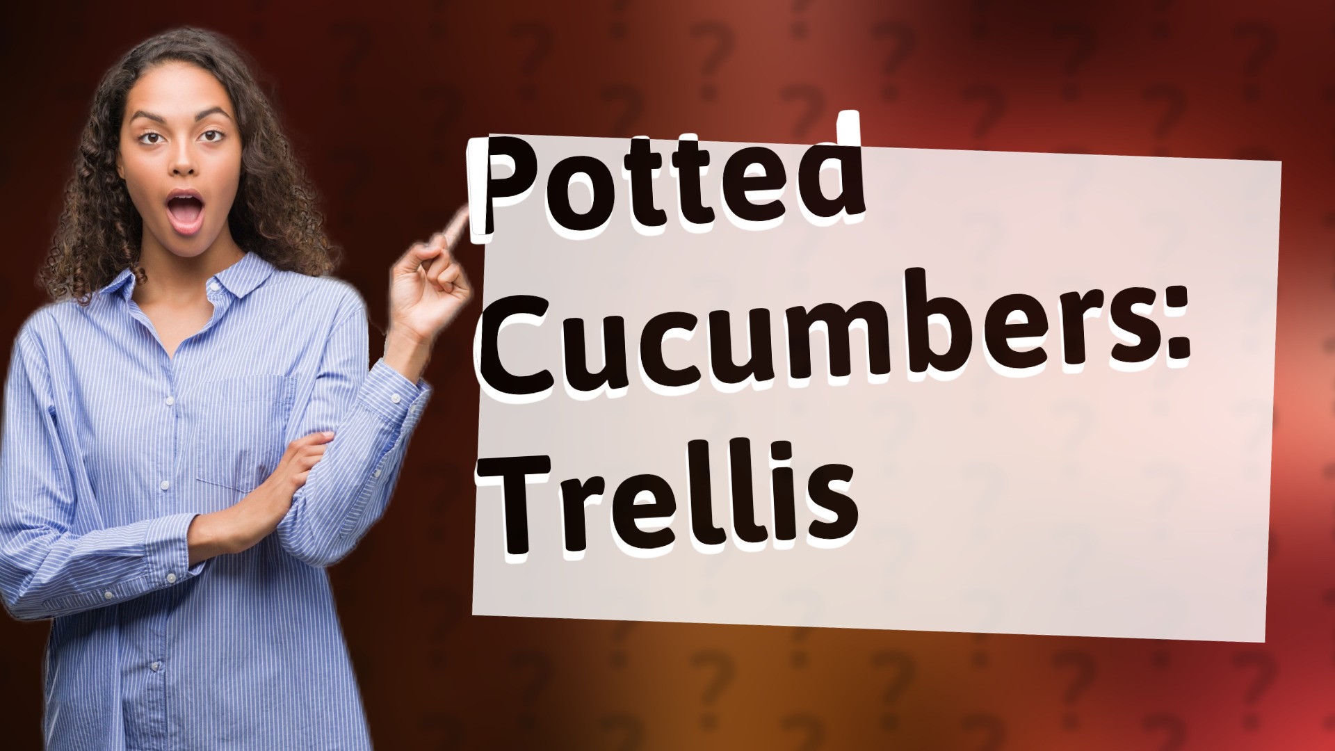 Potted Cucumbers: Trellis