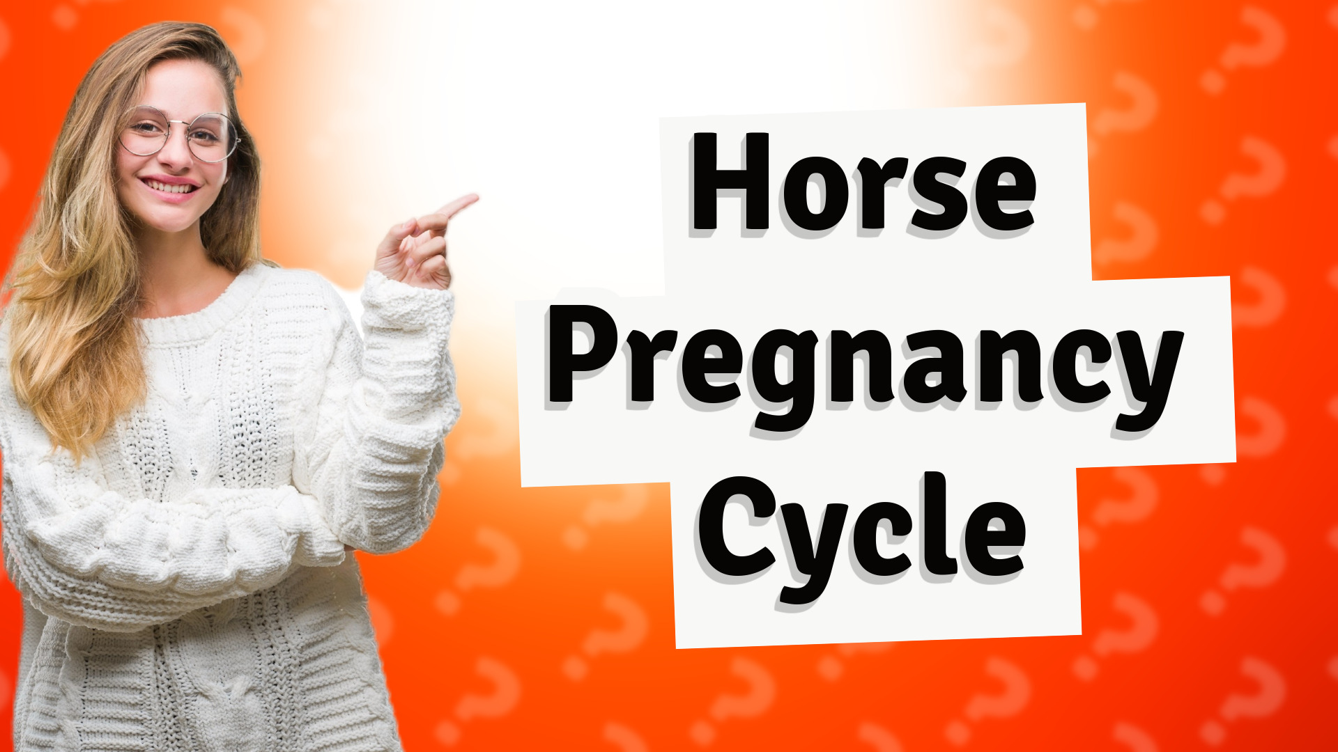 Horse Pregnancy Cycle