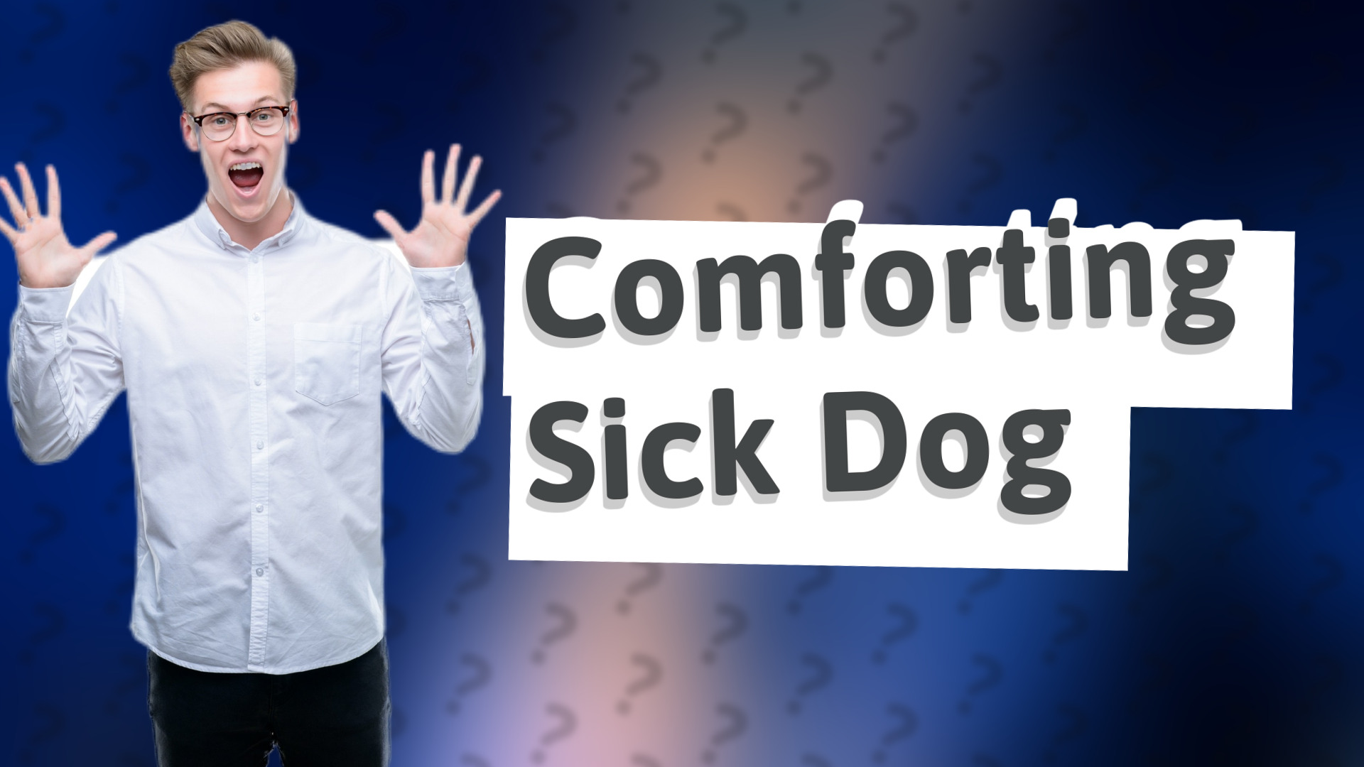 Comforting Sick Dog