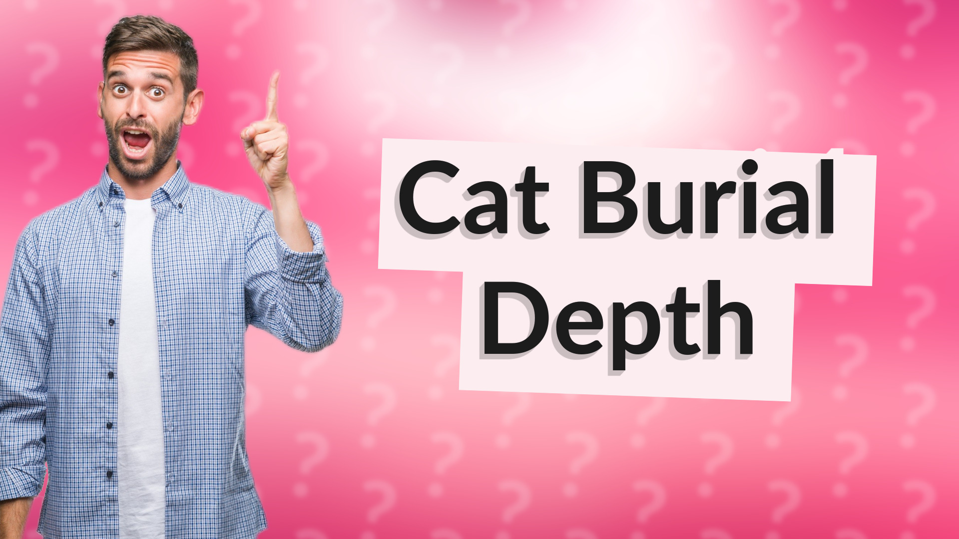 Cat Burial Depth