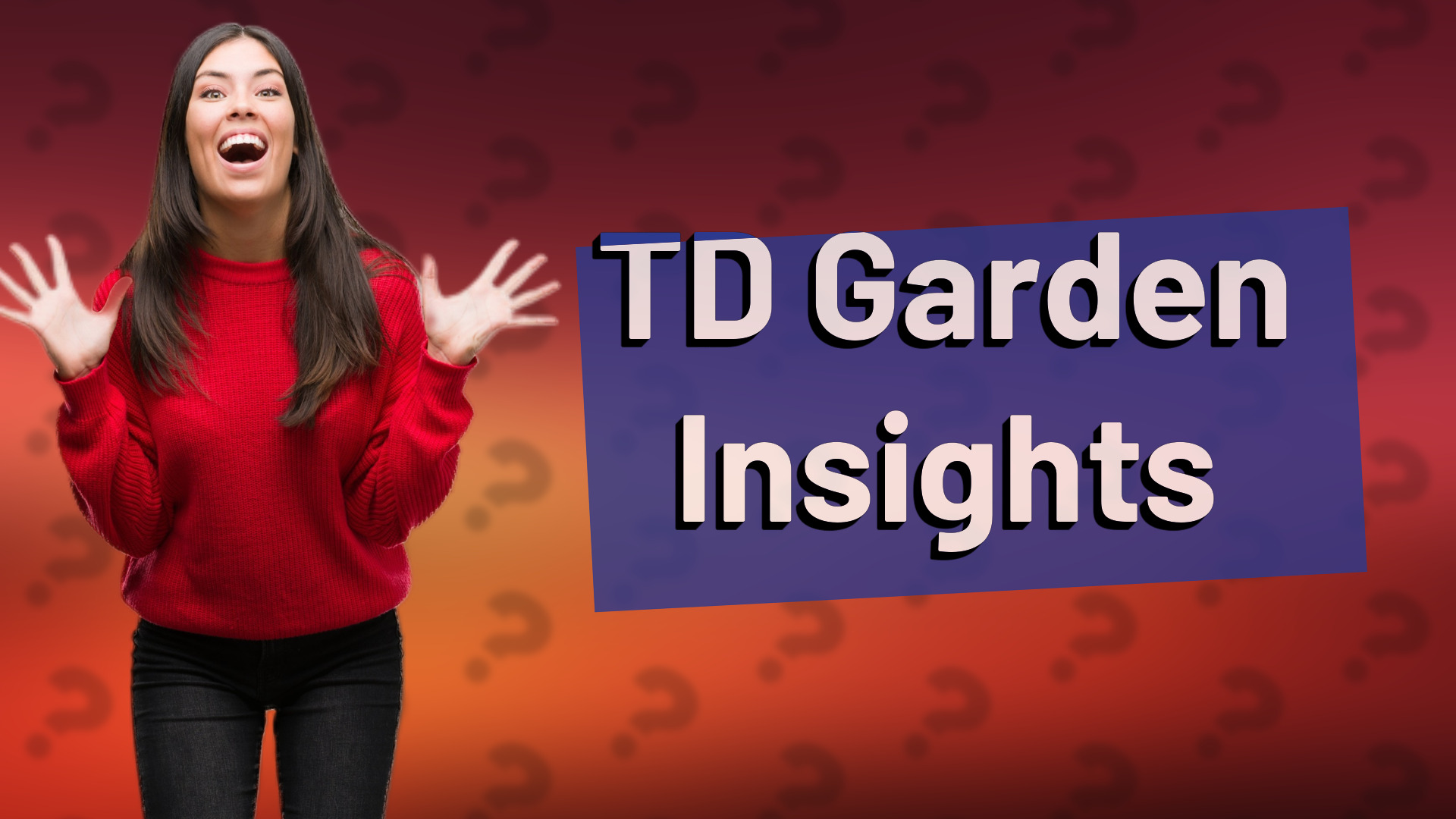 TD Garden Insights
