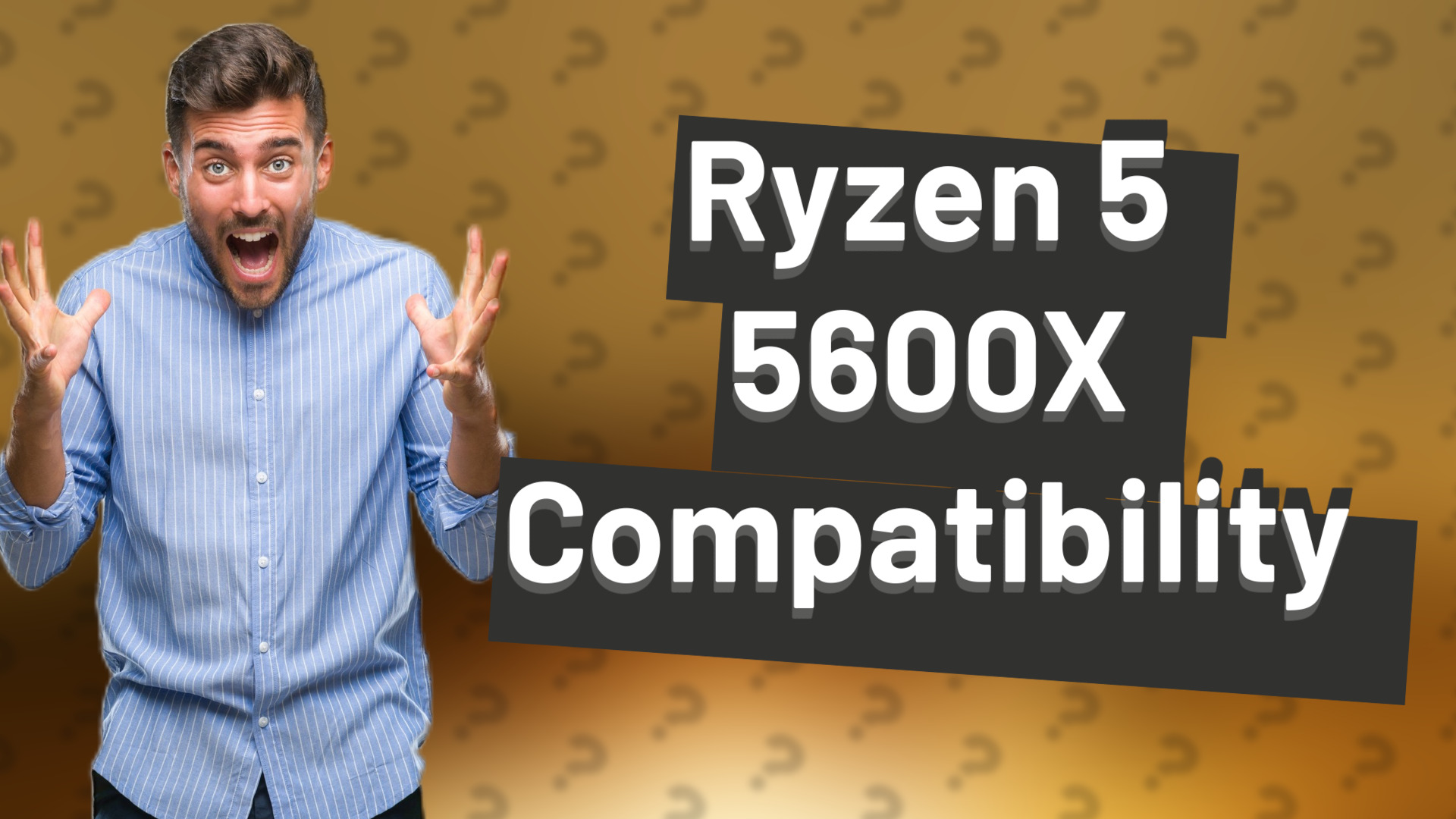 Ryzen 5 5600X Compatibility