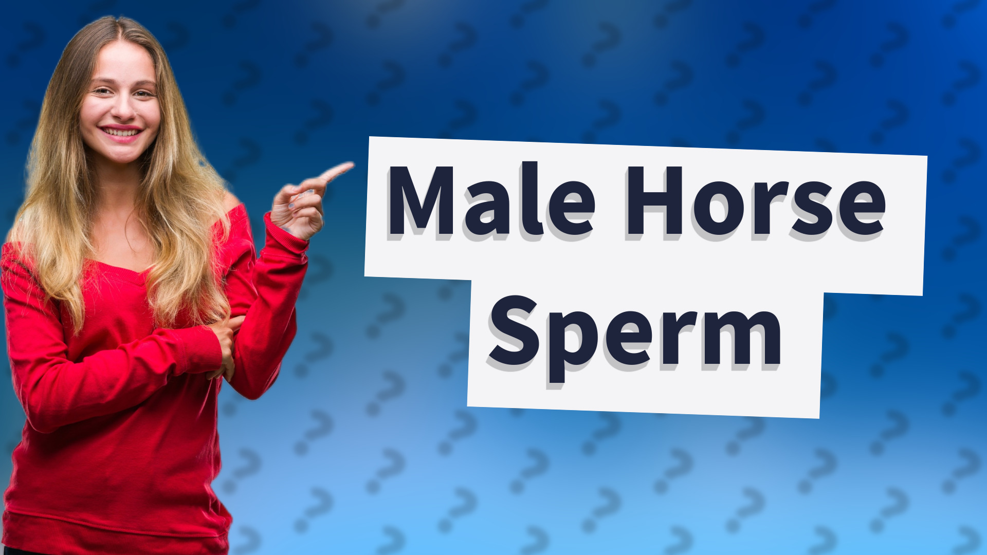 Male Horse Sperm