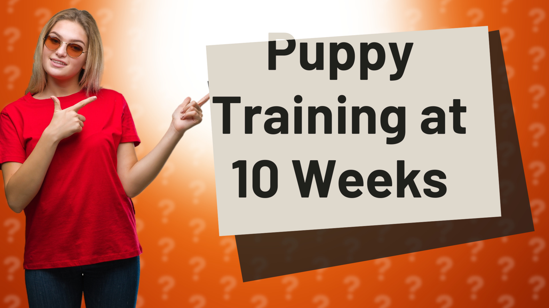 Puppy Training at 10 Weeks