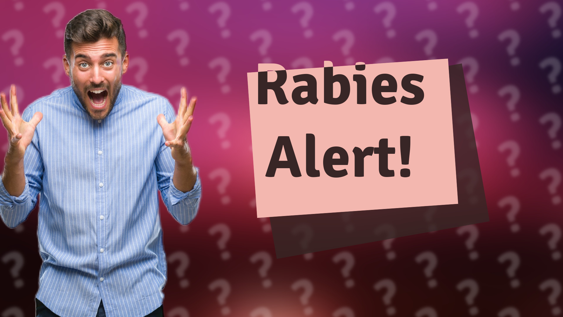 Rabies Alert!