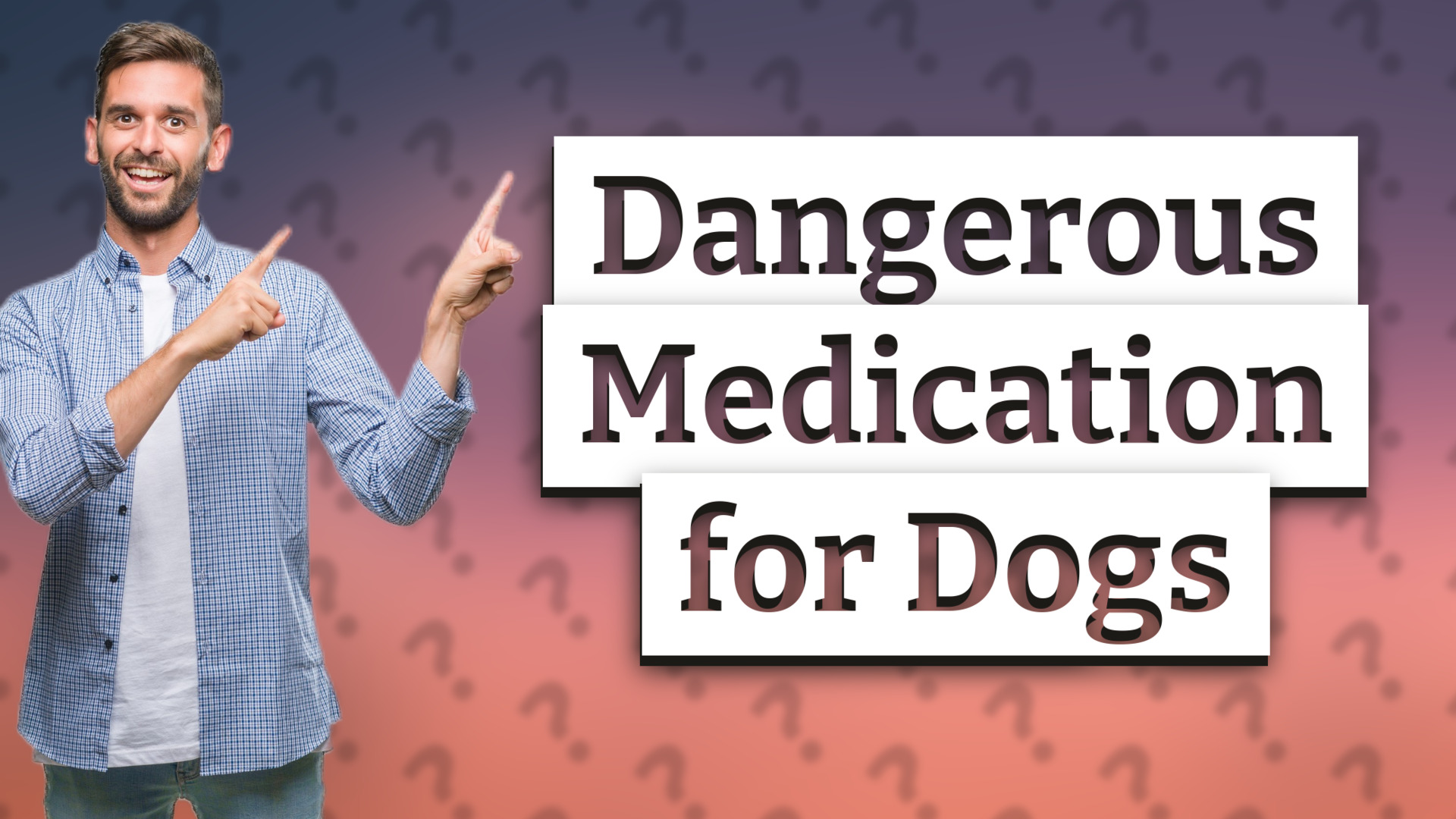 Dangerous Medication for Dogs