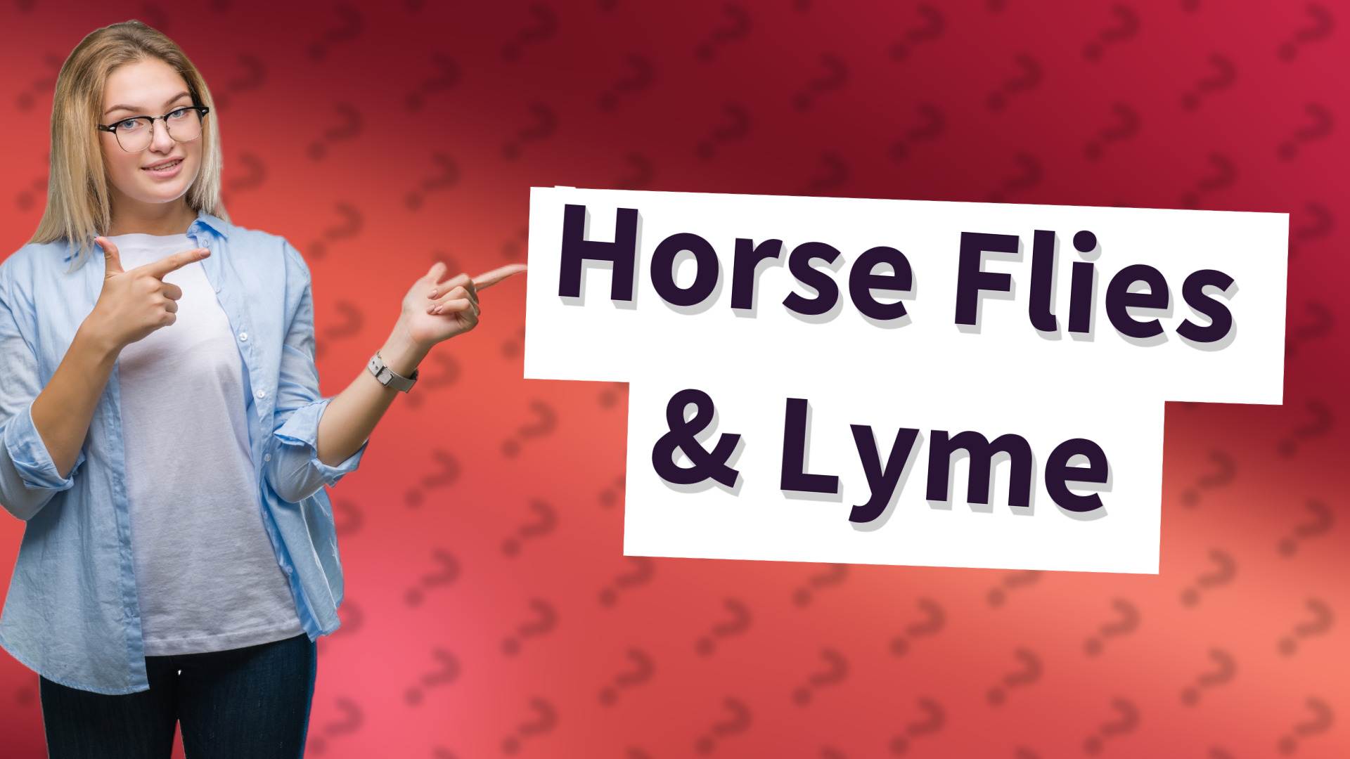 Horse Flies & Lyme