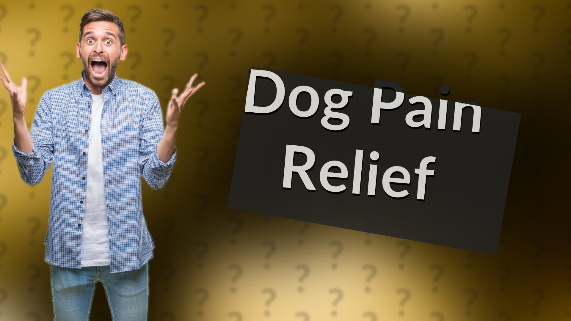 Dog Pain Relief