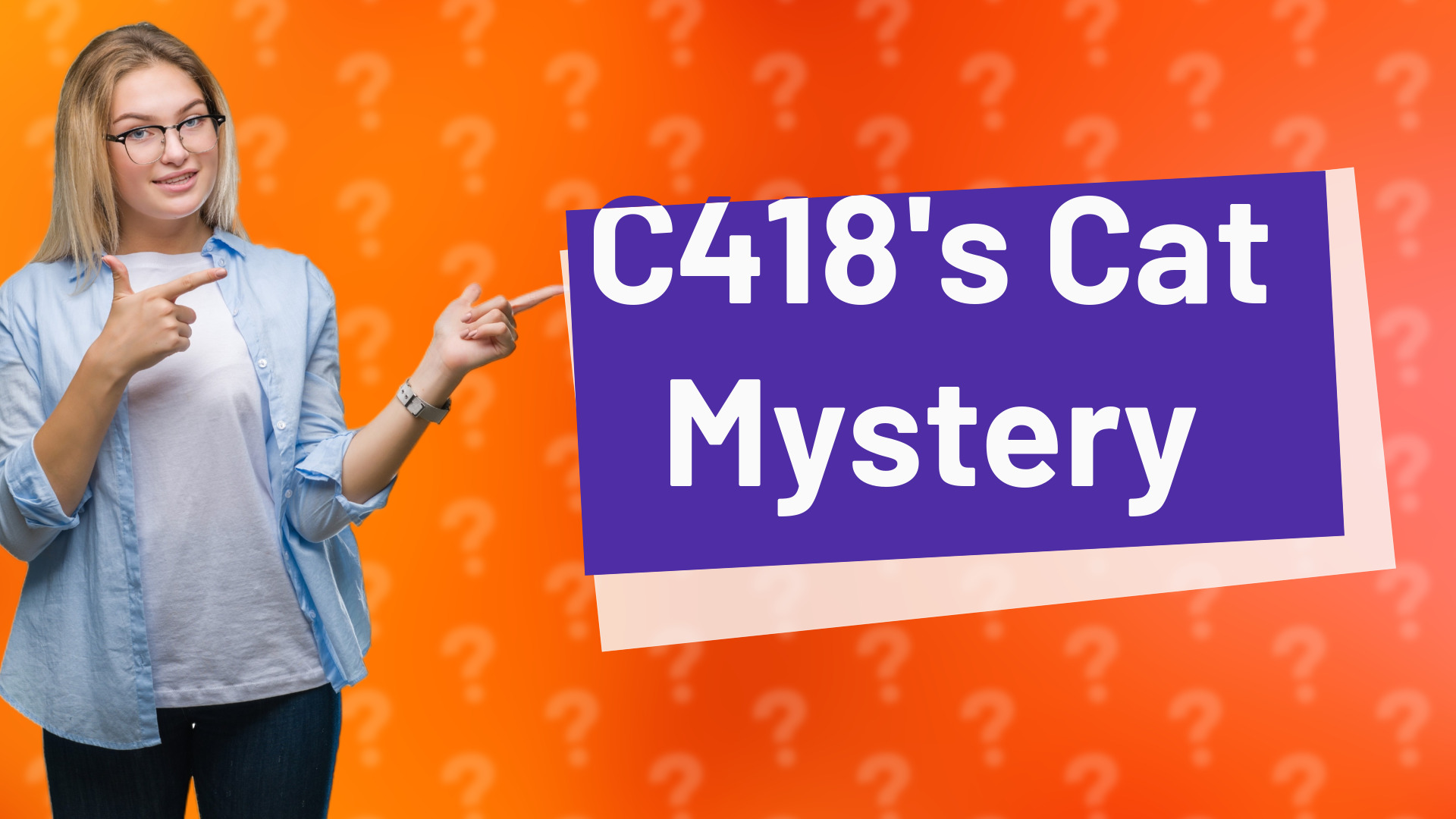 C418's Cat Mystery