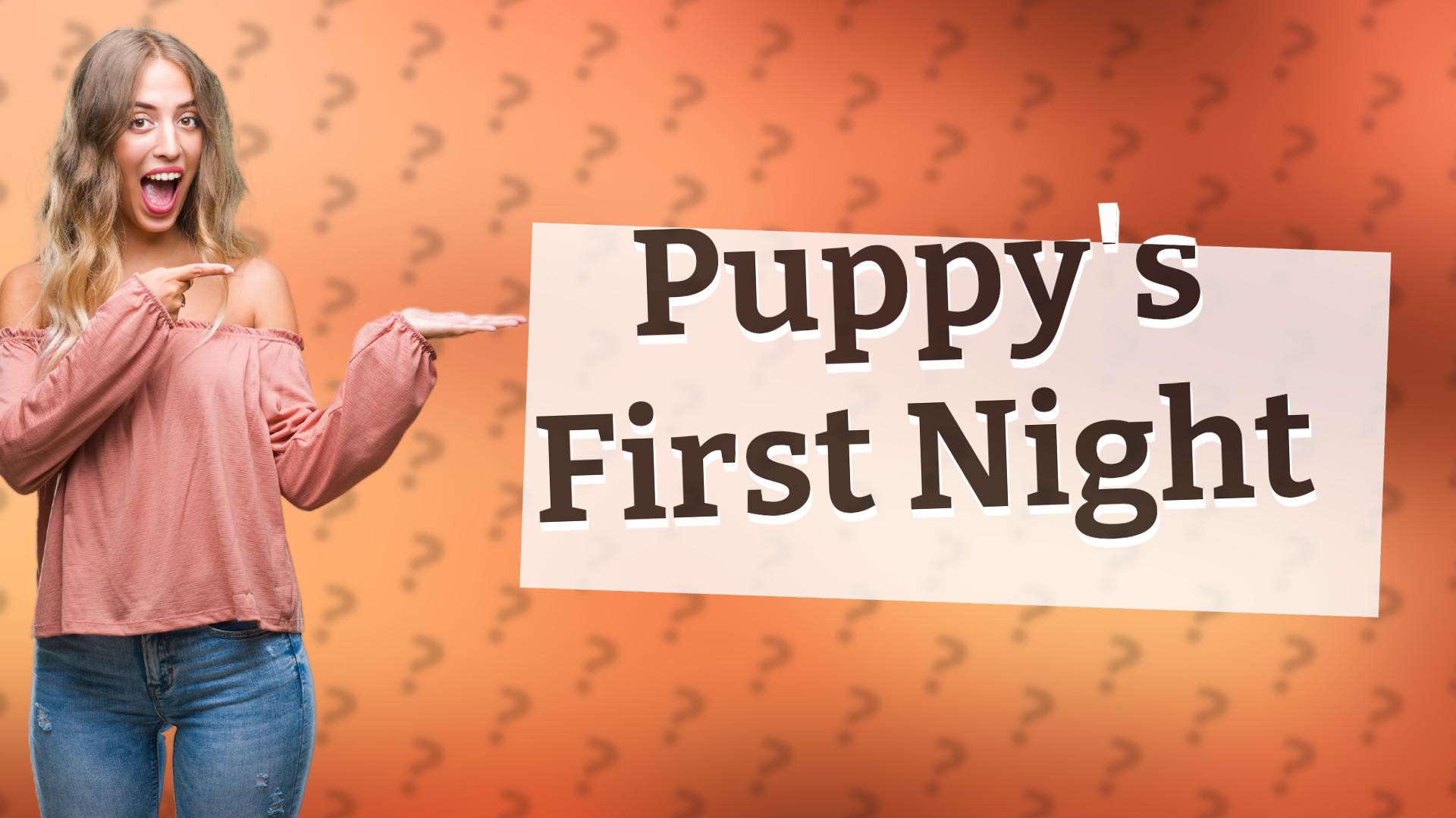 Puppy's First Night
