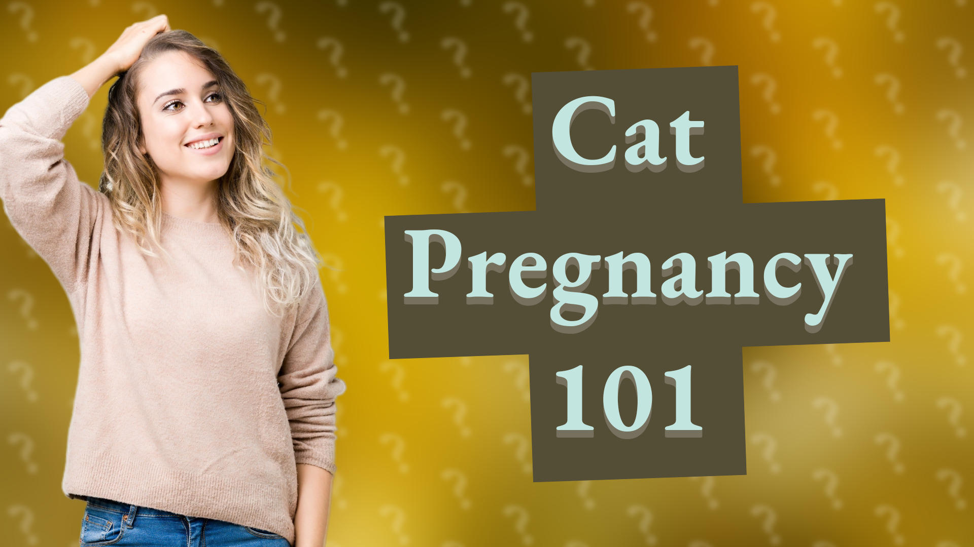 Cat Pregnancy 101