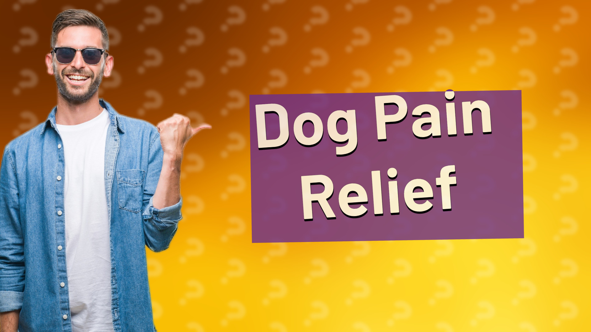 Dog Pain Relief